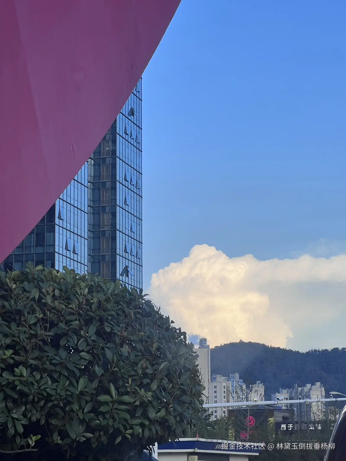 林黛玉倒拔垂杨柳于2025-07-01 11:13发布的图片