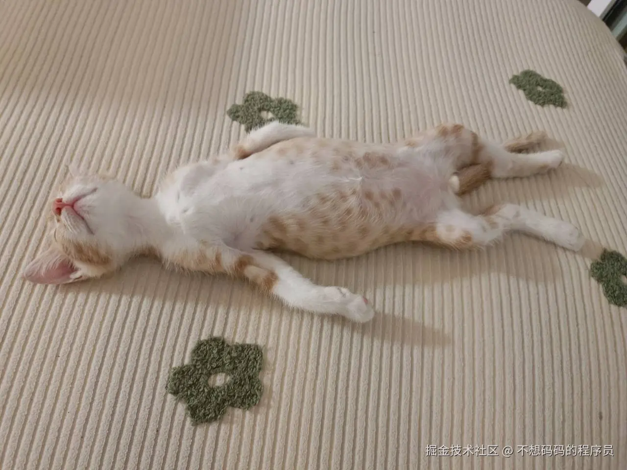 不想码码的程序员于2025-06-11 09:51发布的图片