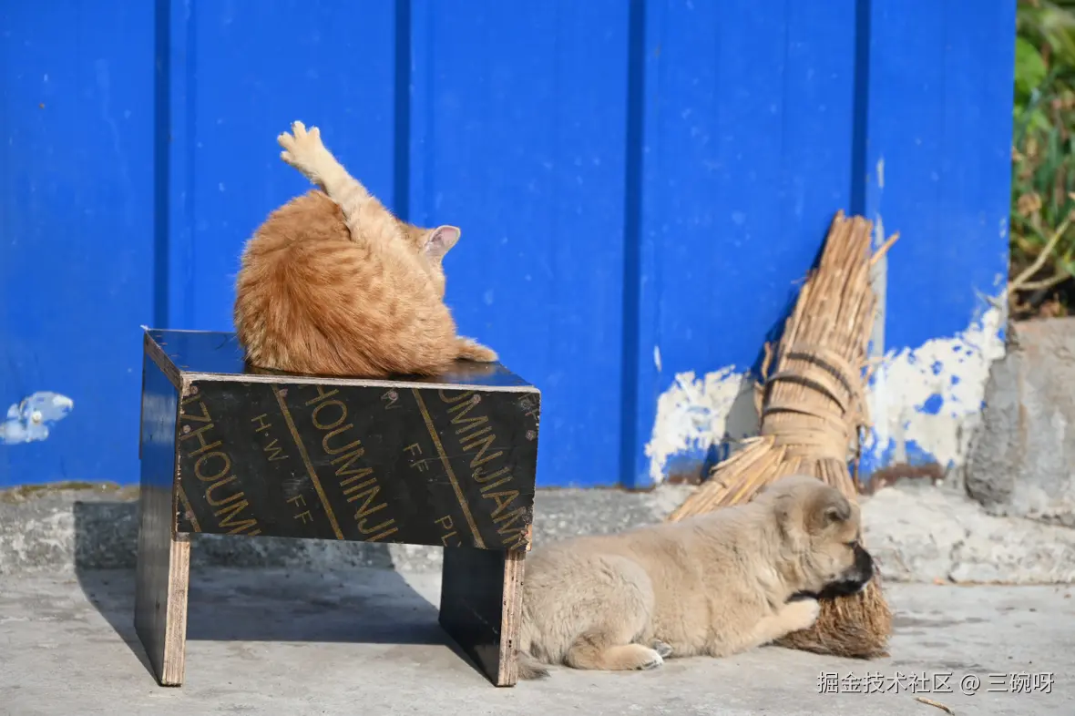 三碗呀于2025-01-13 16:23发布的图片