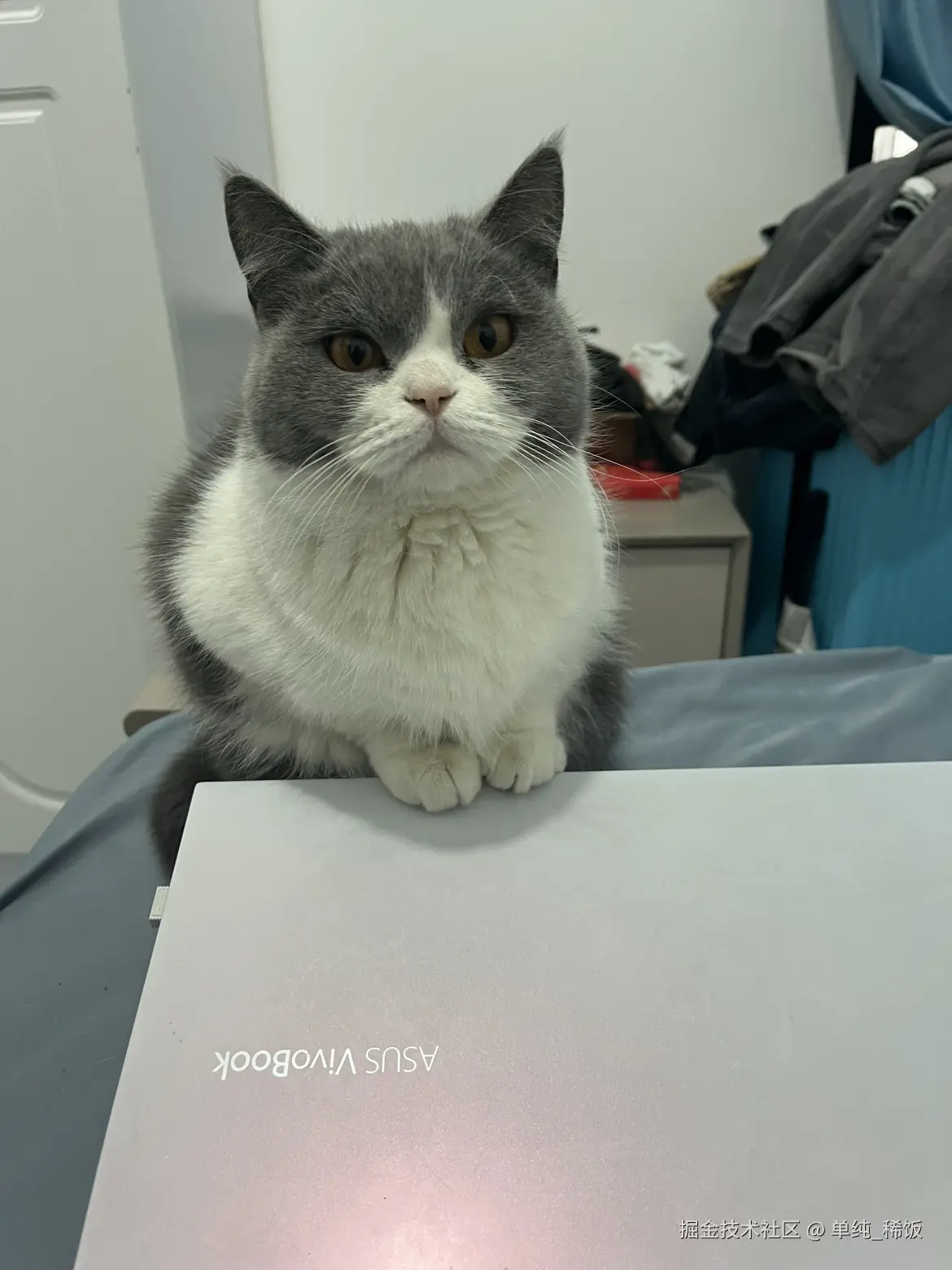 单纯_稀饭于2025-01-22 13:44发布的图片