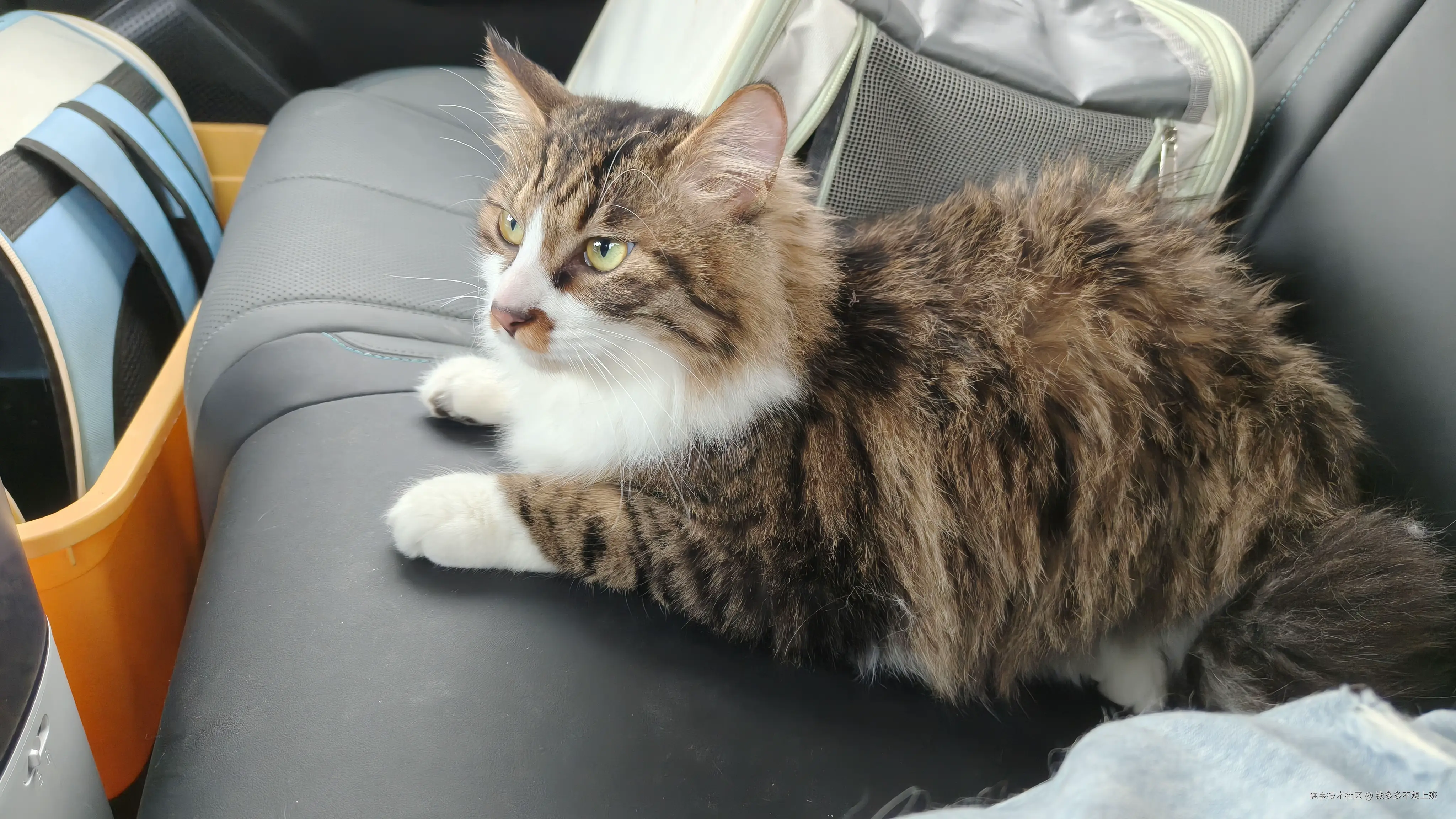 钱多多不想上班于2026-02-09 08:14发布的图片