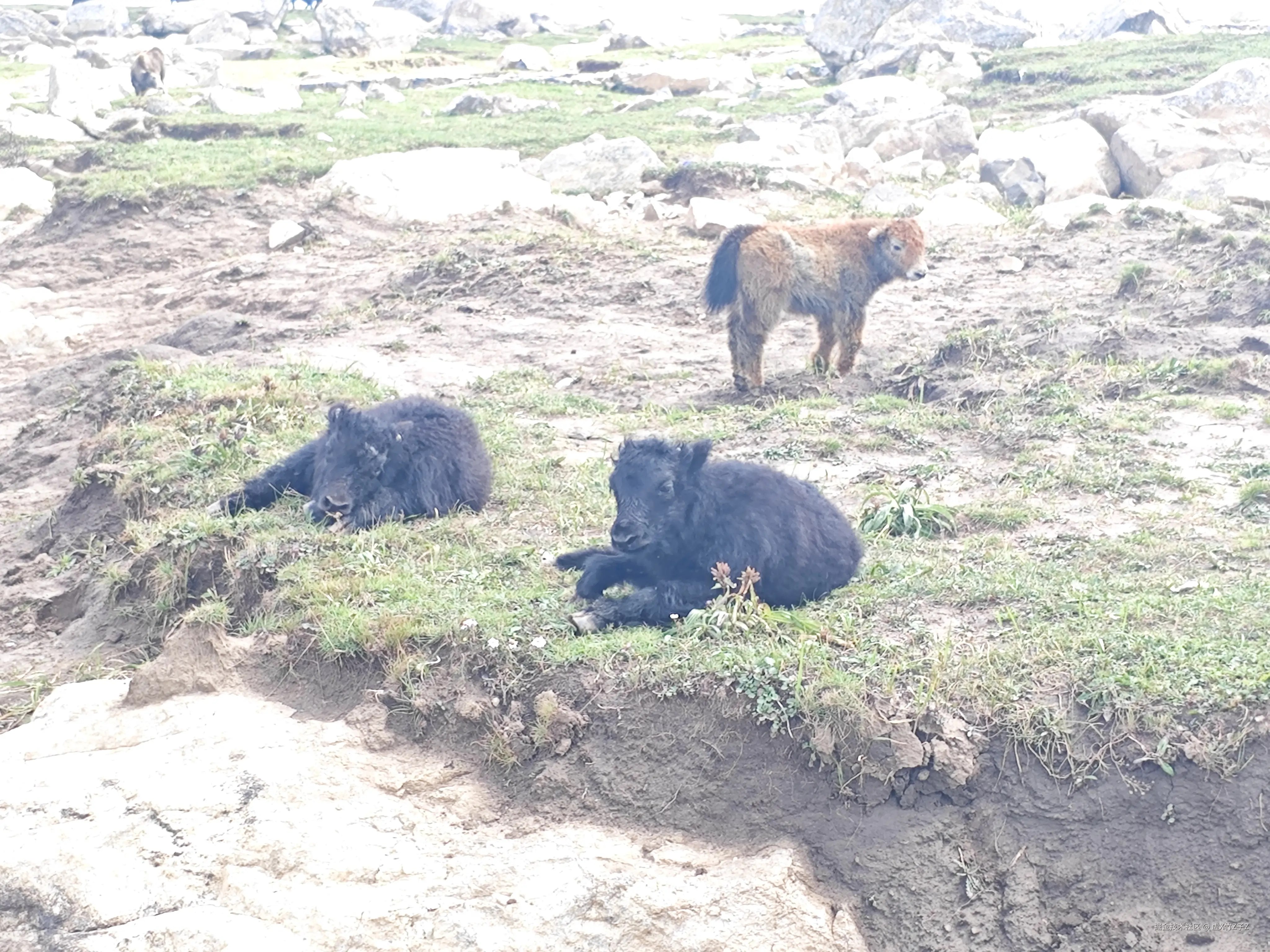 虚X竹Z子Z于2025-09-04 10:56发布的图片