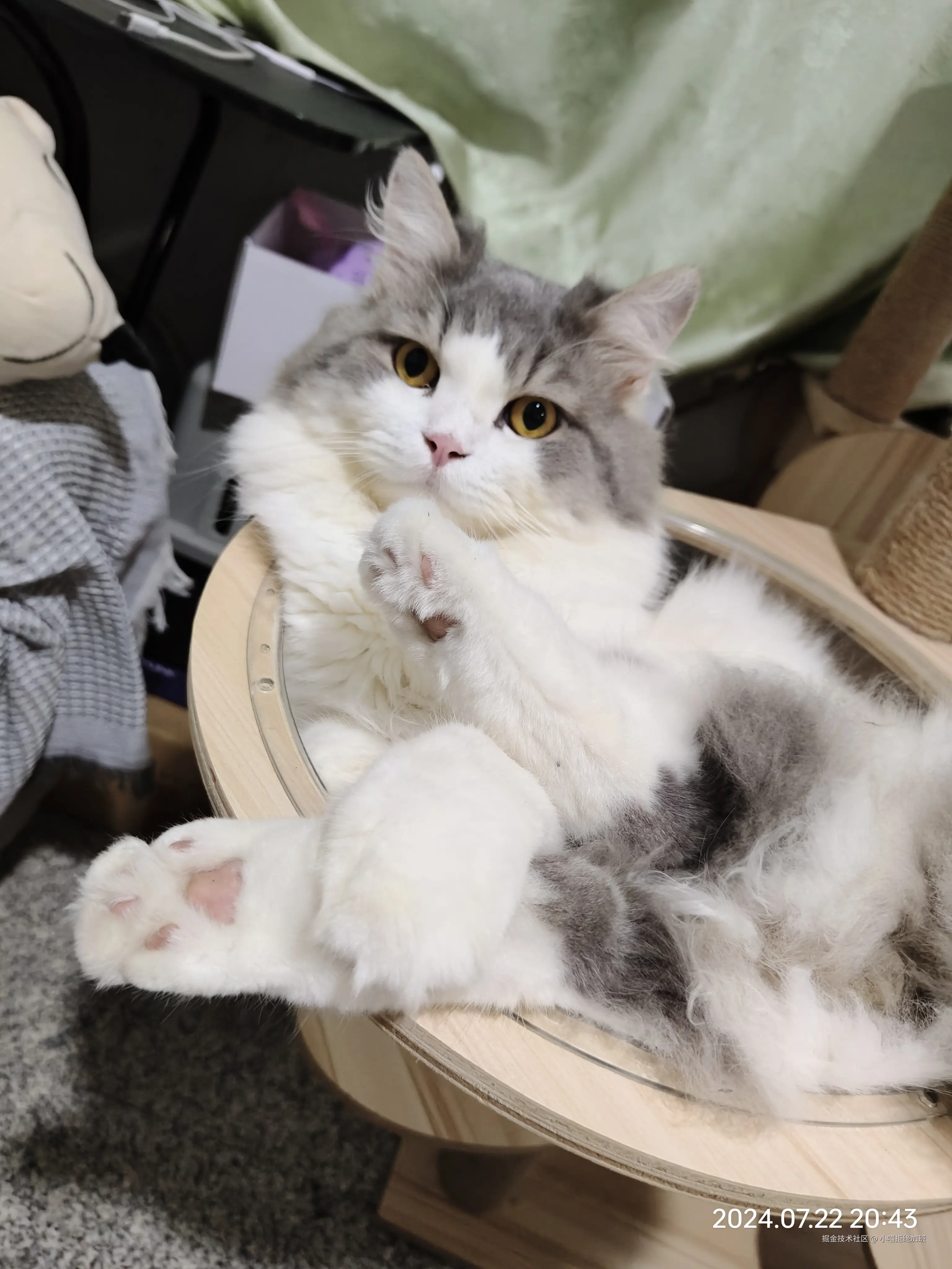 小喵拒绝加班于2024-07-27 15:44发布的图片