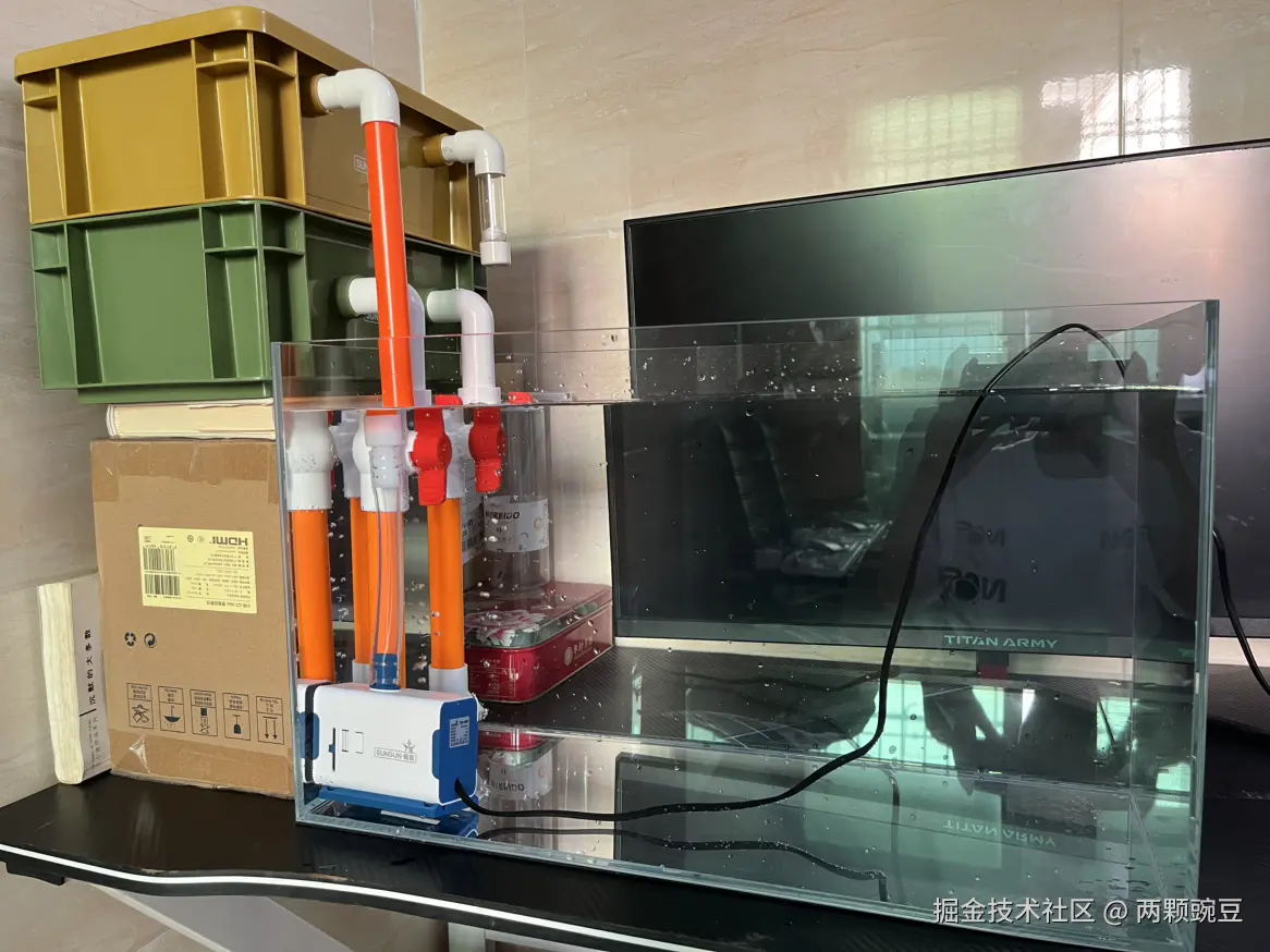 两颗豌豆于2025-06-06 09:08发布的图片