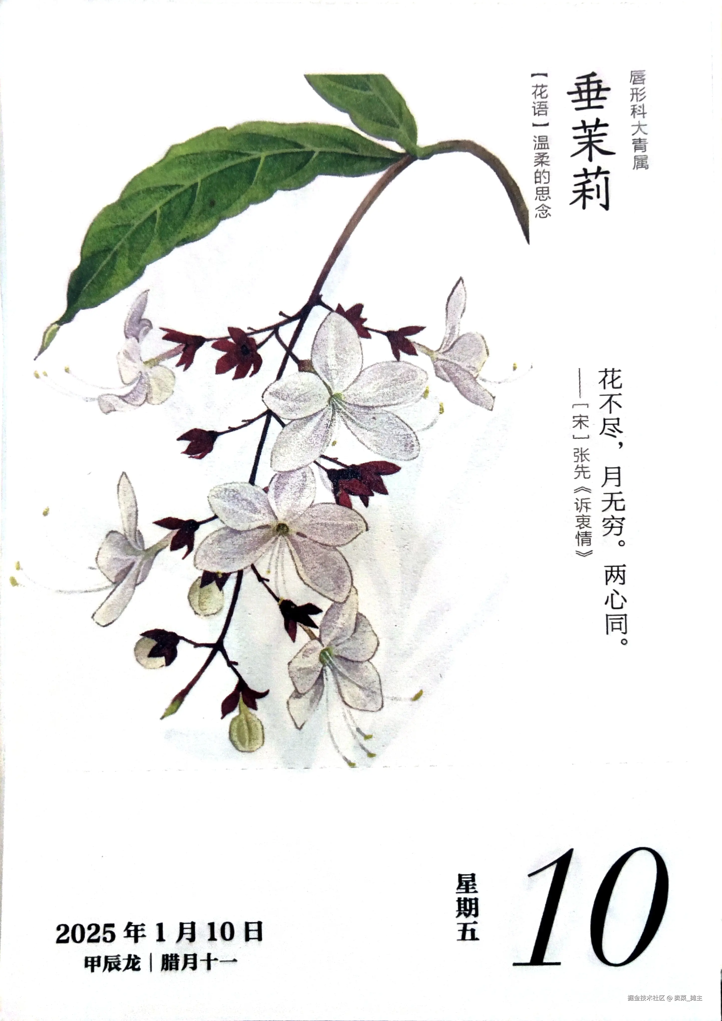 卖菜_摊主于2025-01-11 13:03发布的图片