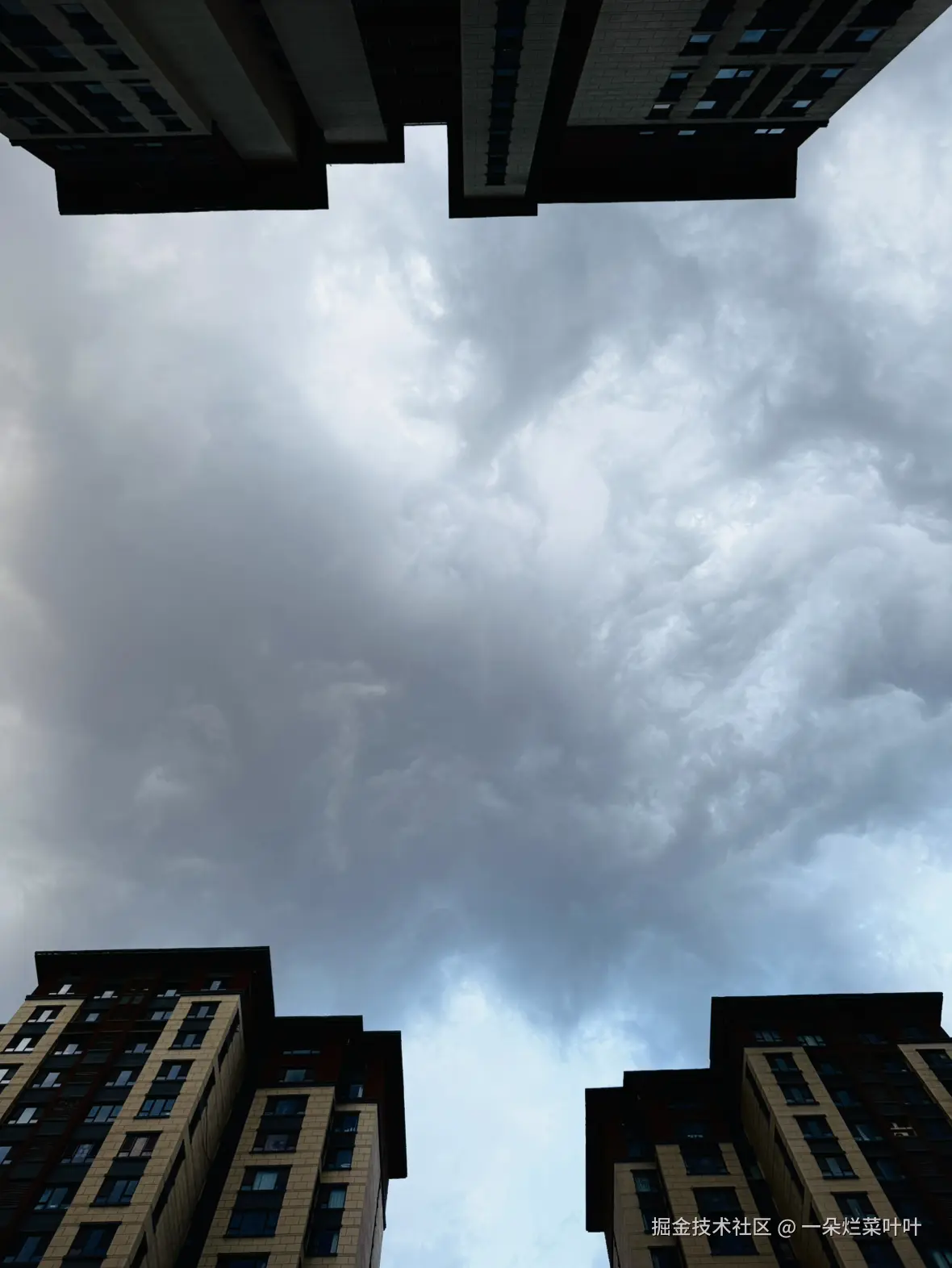 一朵烂菜叶叶于2025-04-09 10:44发布的图片