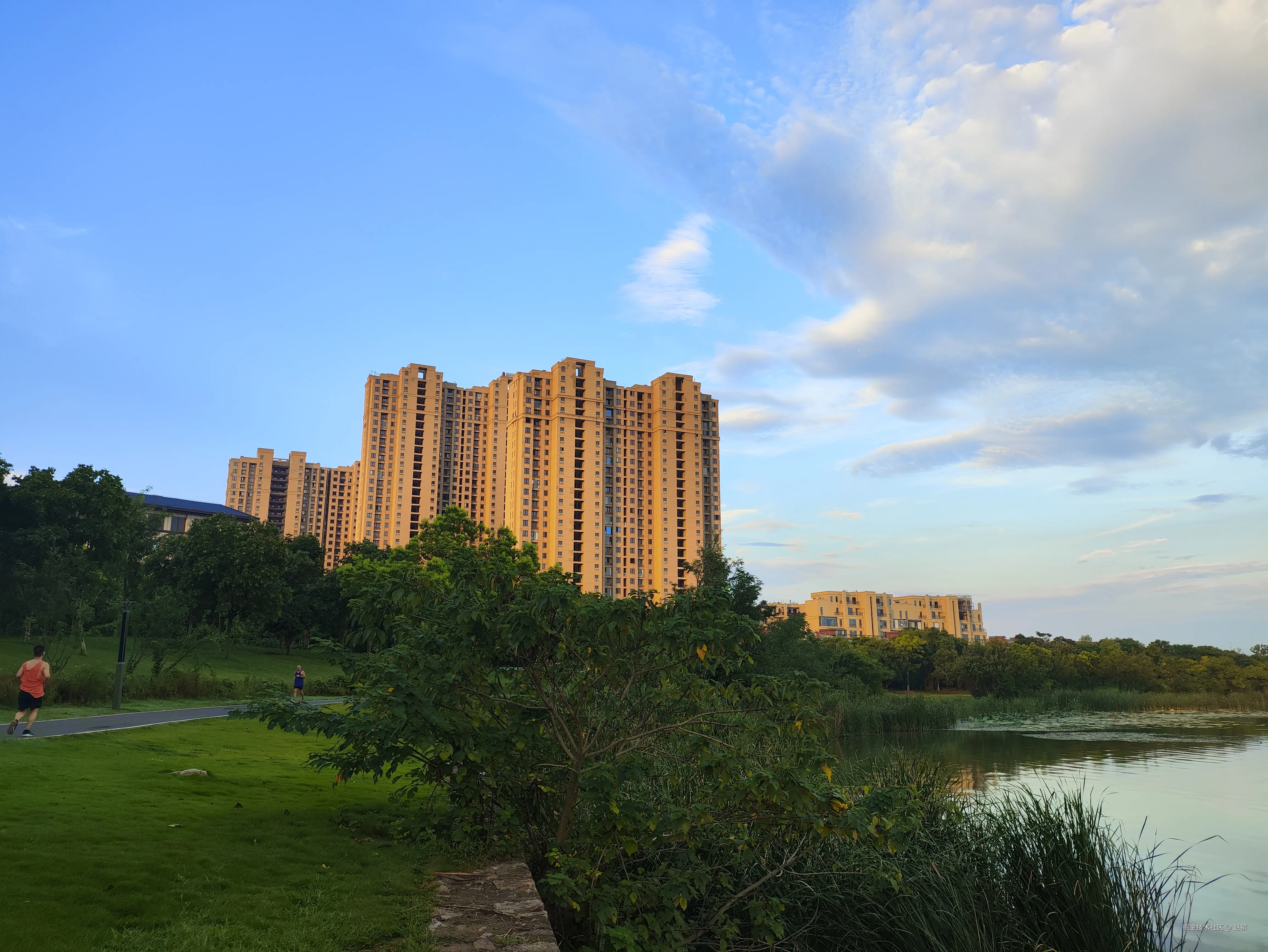 赵镇于2024-08-01 09:49发布的图片