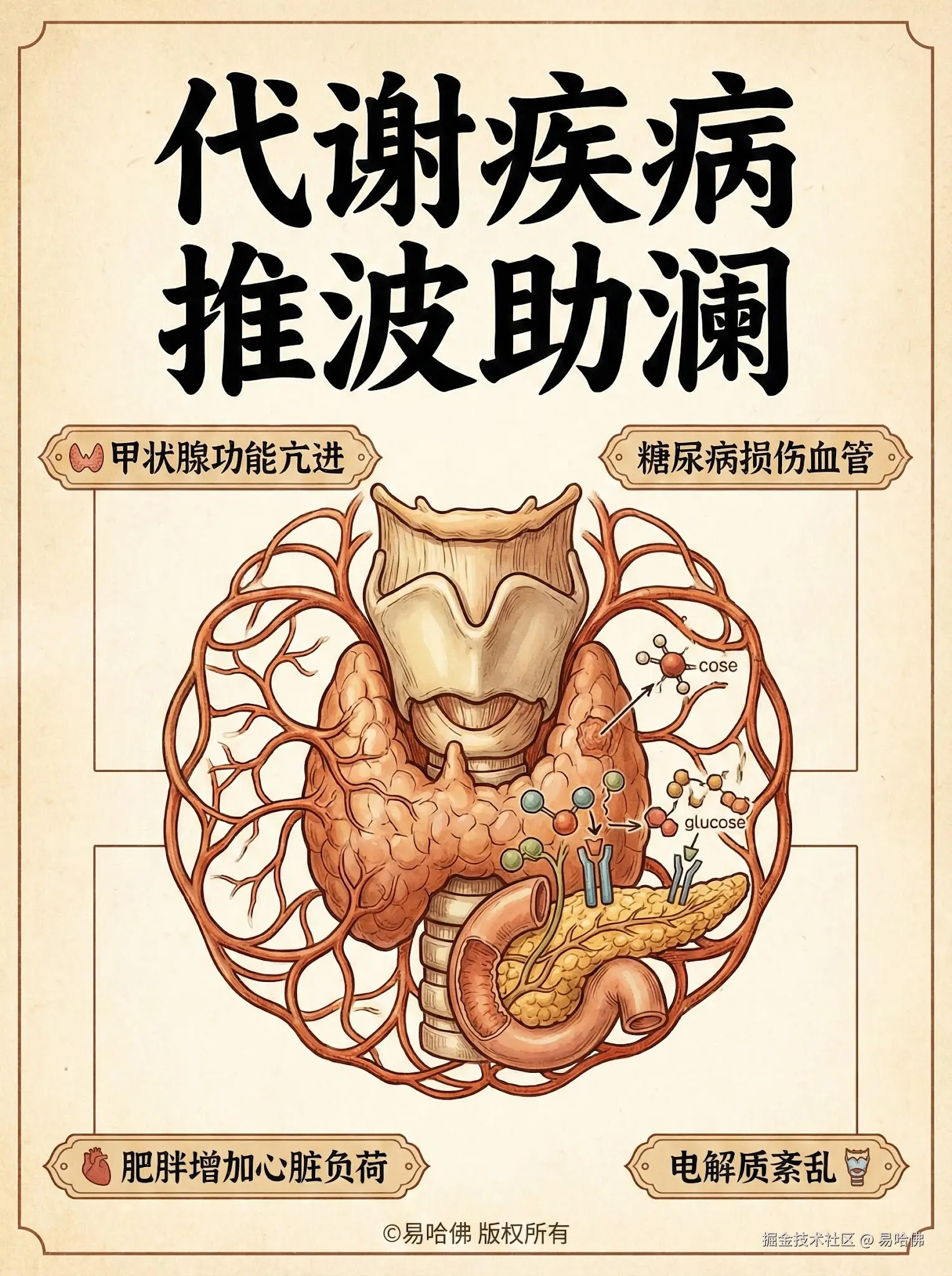 易哈佛于2026-01-04 10:45发布的图片