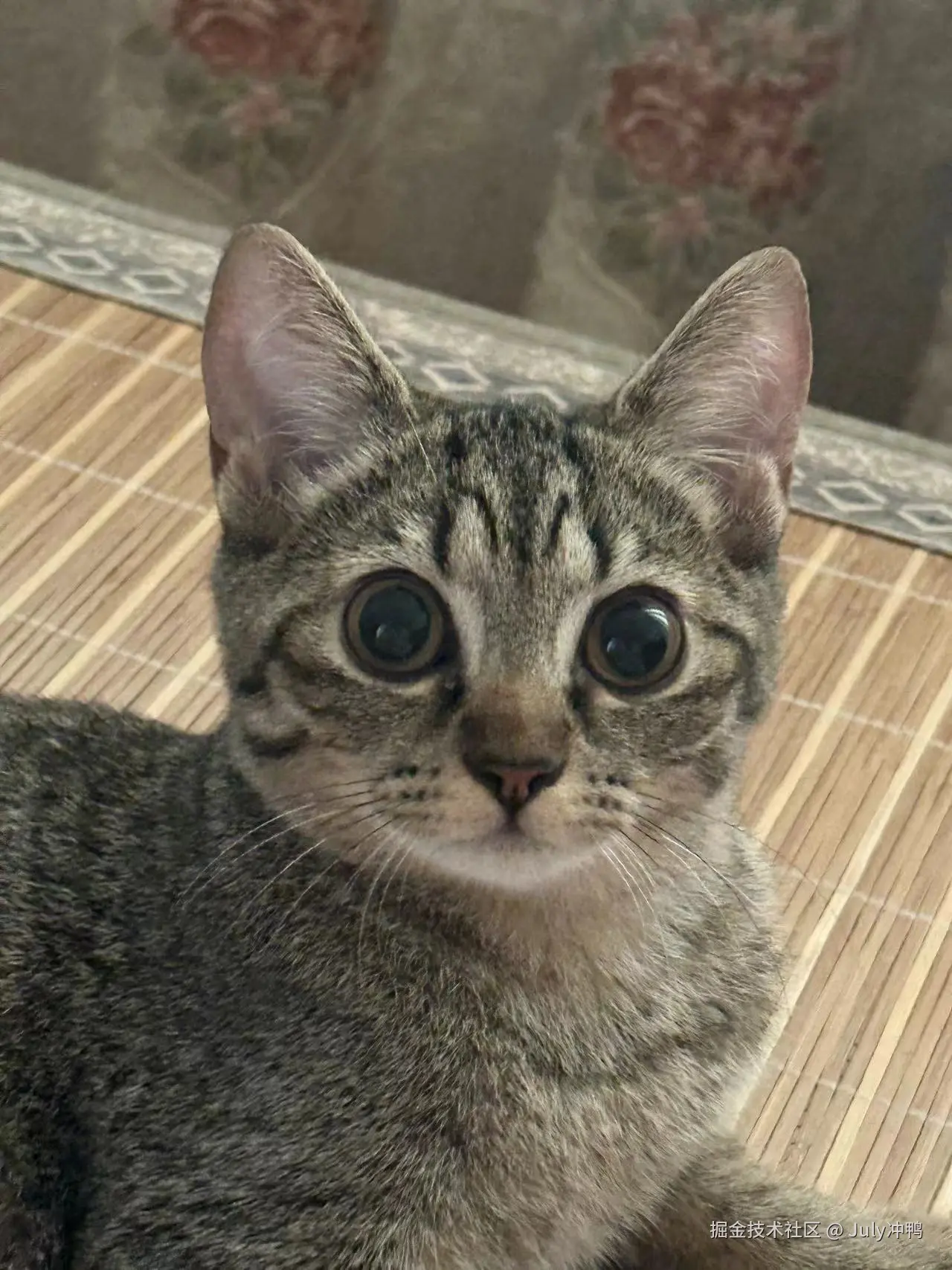 July冲鸭于2024-09-14 11:19发布的图片