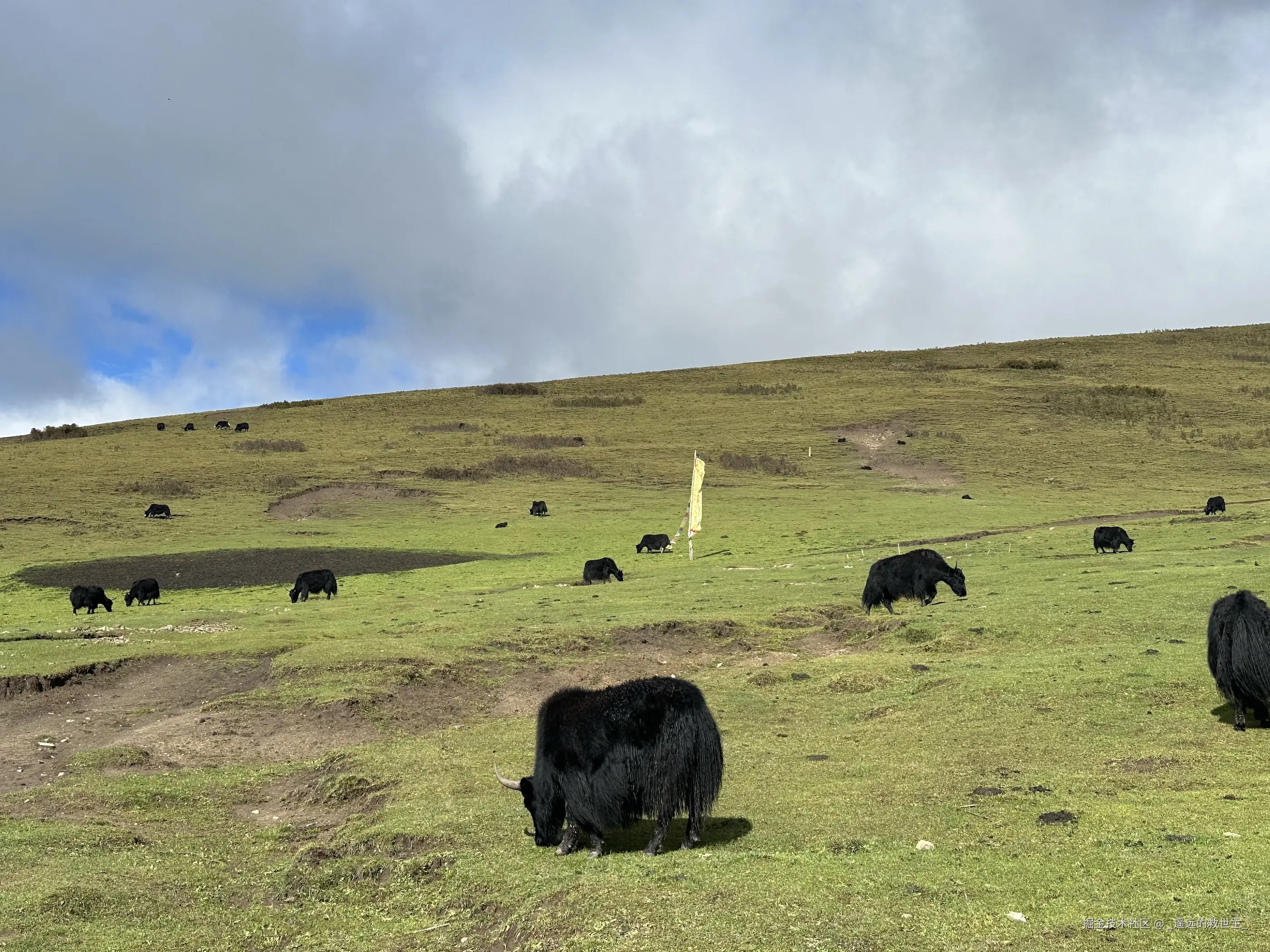 _遥远的救世主_于2025-10-09 16:29发布的图片