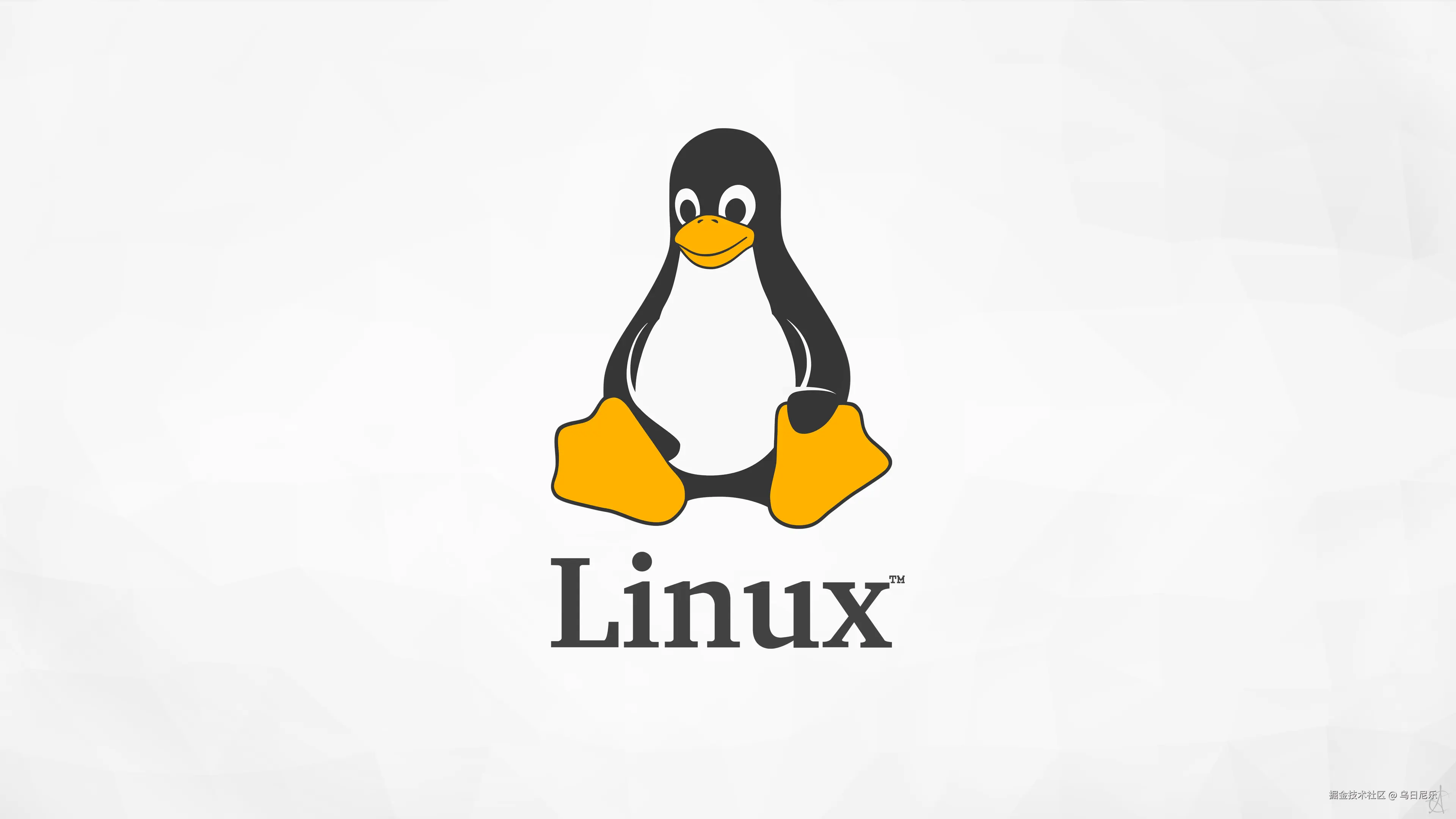 Linux-shell命令和工具