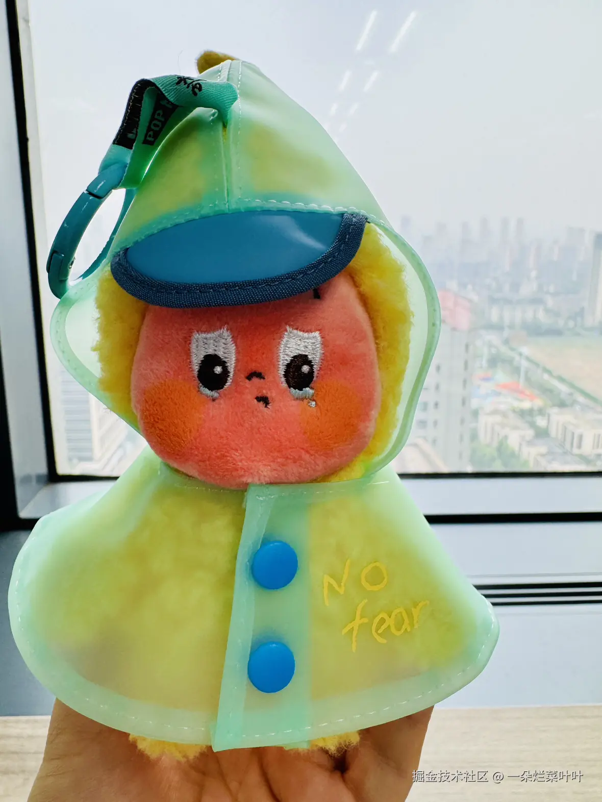 一朵烂菜叶叶于2025-09-05 04:35发布的图片