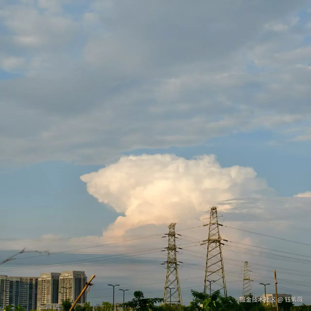 钰紫薇于2025-07-21 06:04发布的图片
