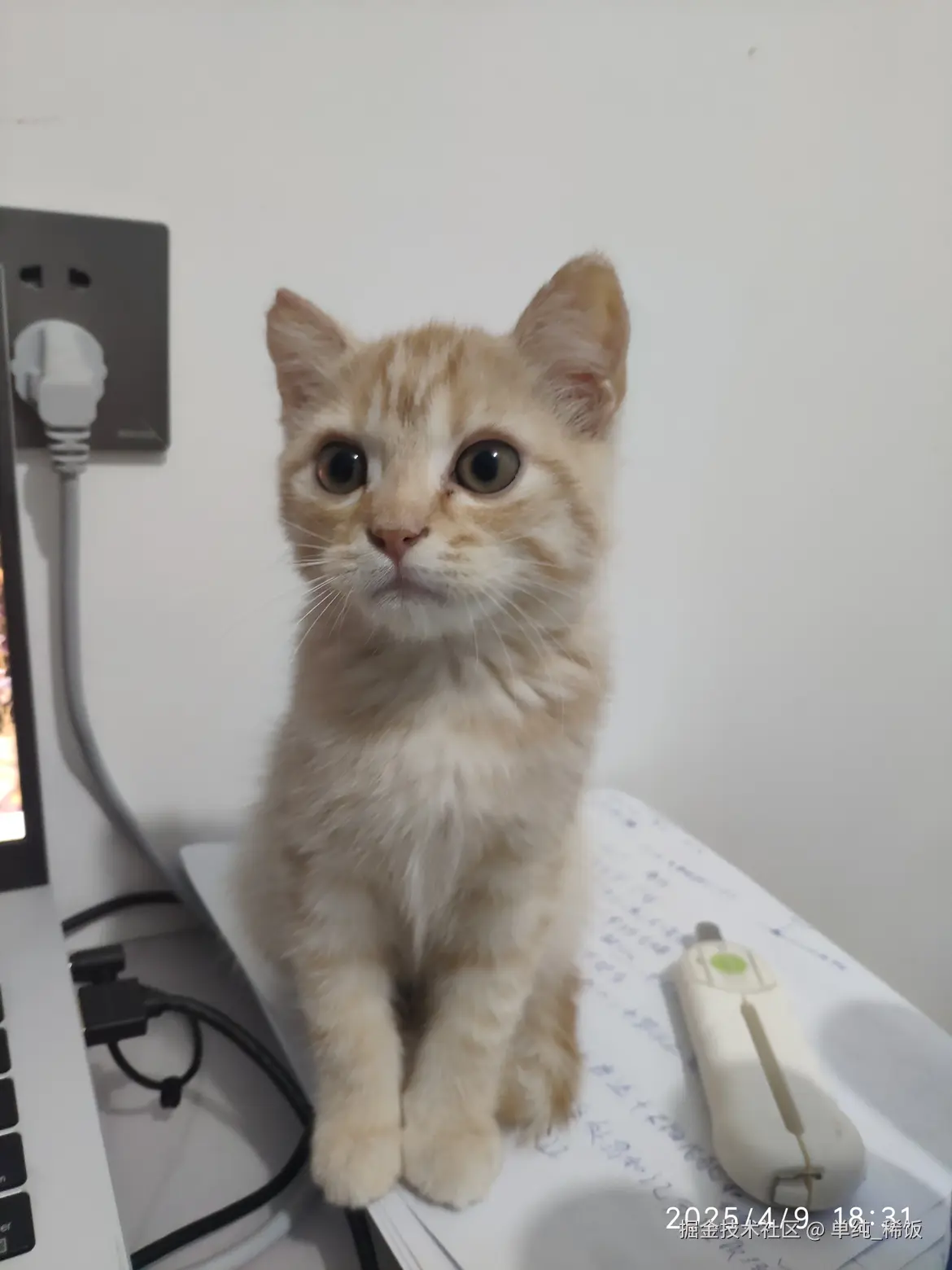 单纯_稀饭于2025-04-10 13:26发布的图片