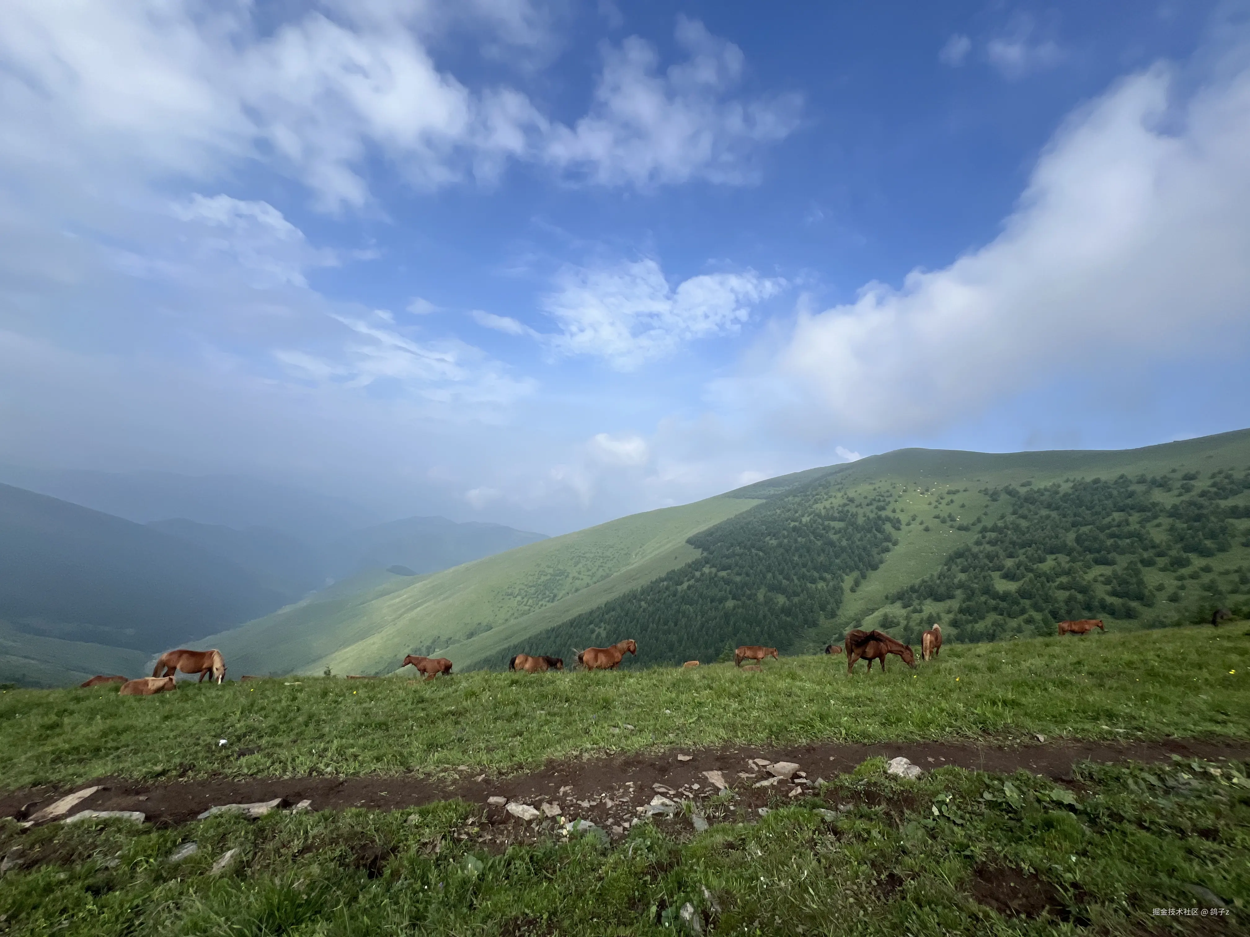 鸽子z于2025-07-14 14:20发布的图片