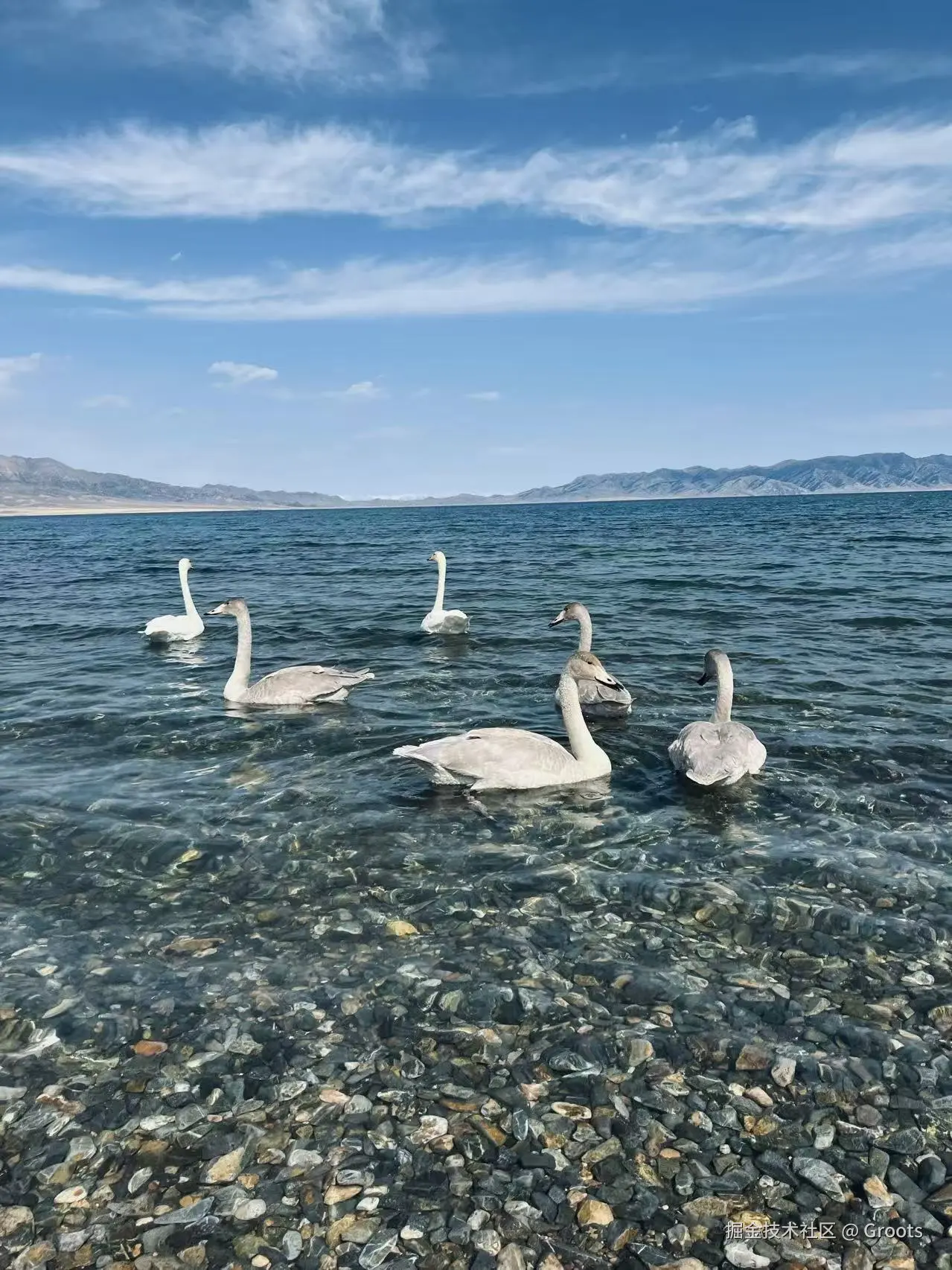 Groots于2025-09-29 01:56发布的图片