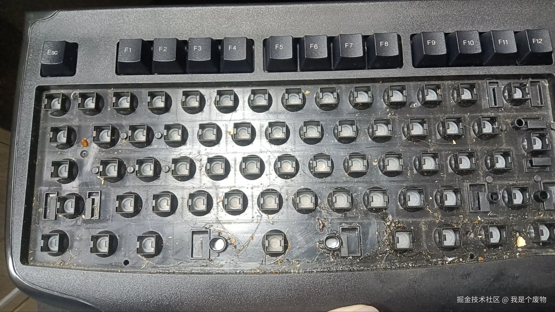 我是个废物于2026-02-12 15:11发布的图片