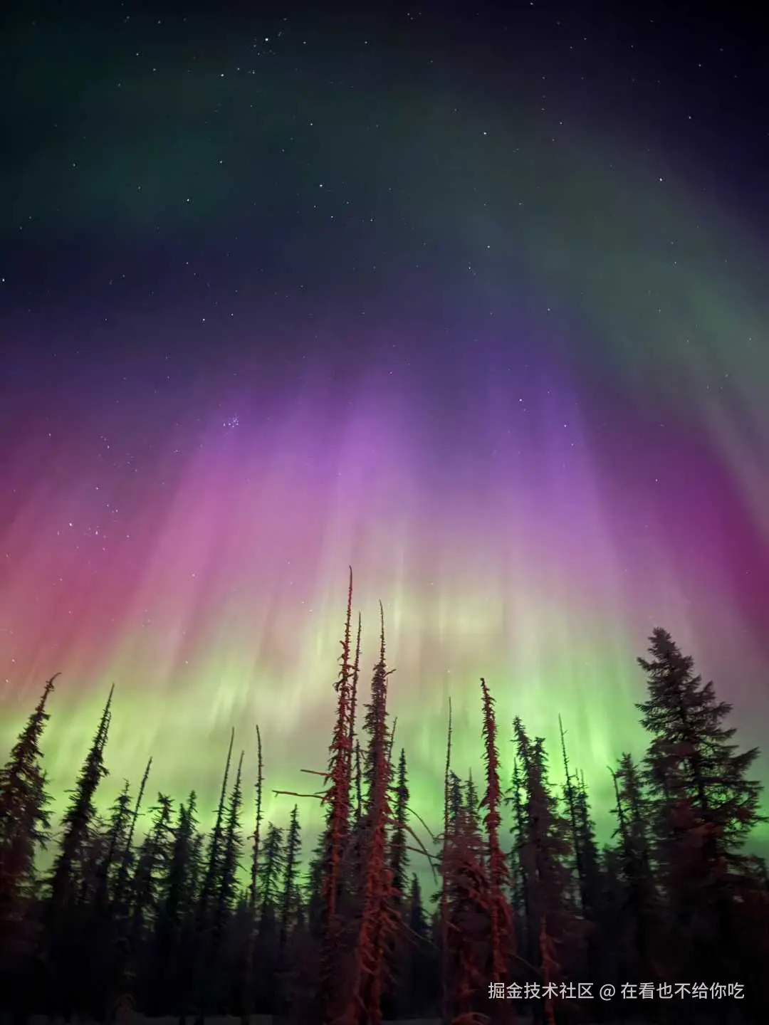 在看也不给你吃于2026-01-22 13:41发布的图片