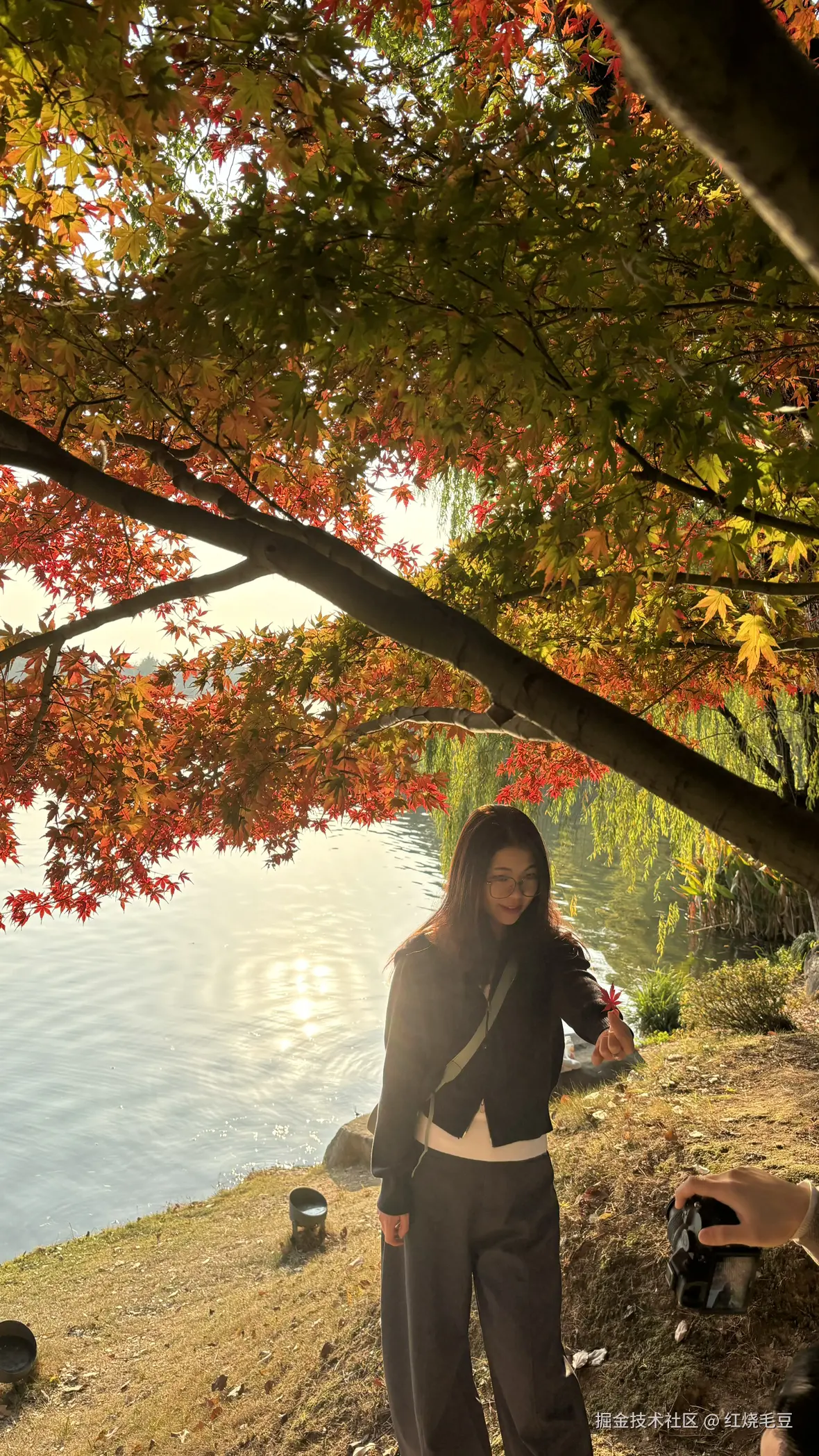 红烧毛豆于2025-12-08 11:13发布的图片