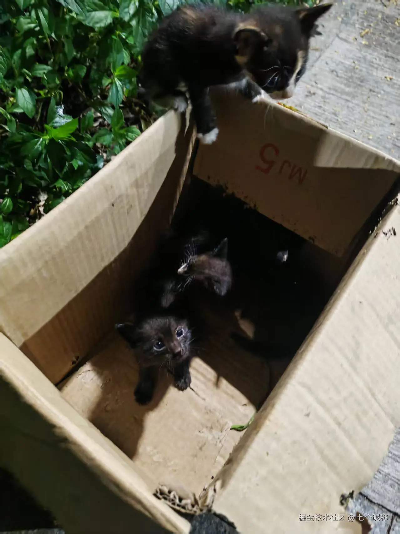 七个昵称于2025-07-07 09:08发布的图片