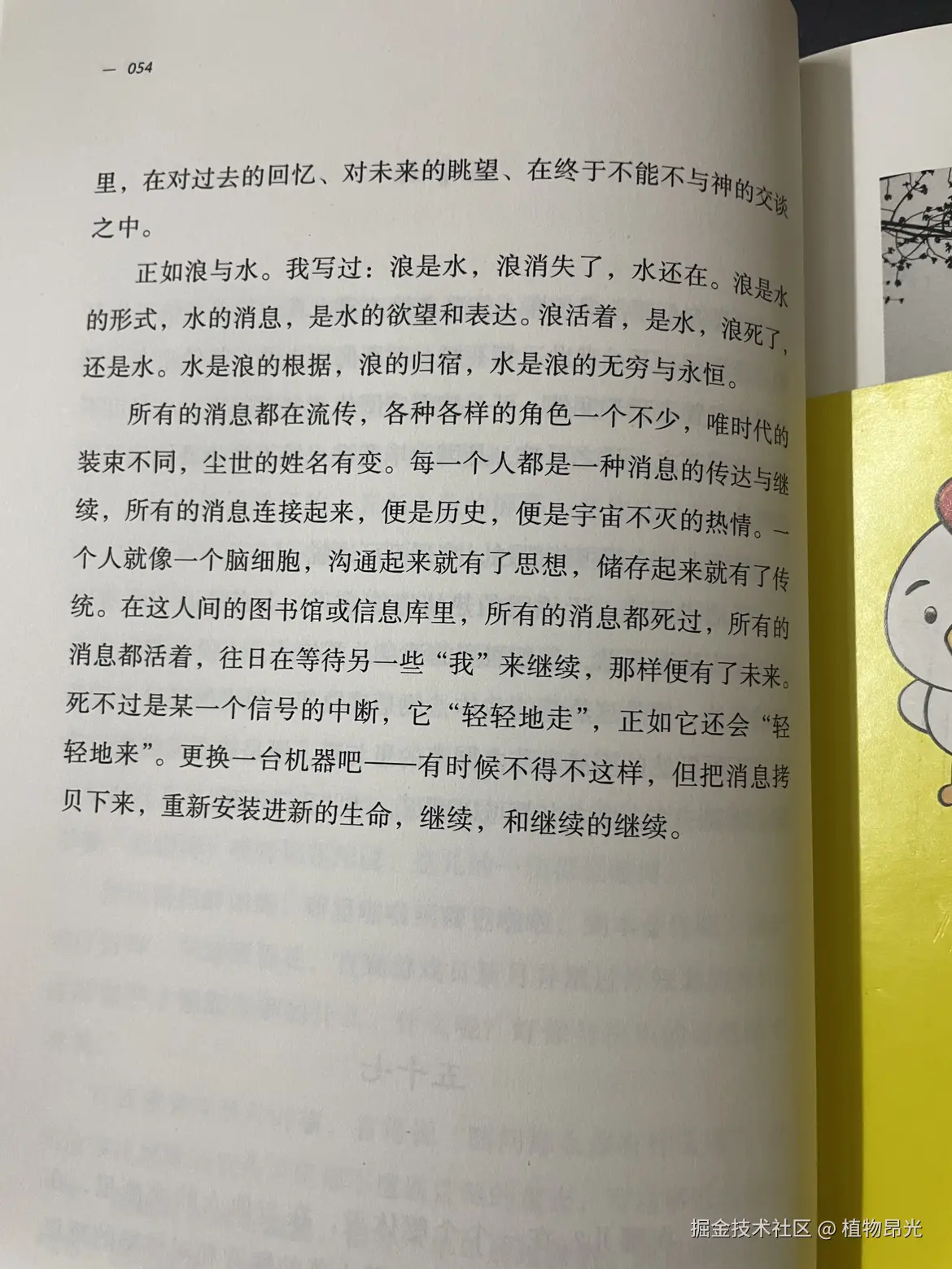 植物昂光于2026-05-09 21:18发布的图片