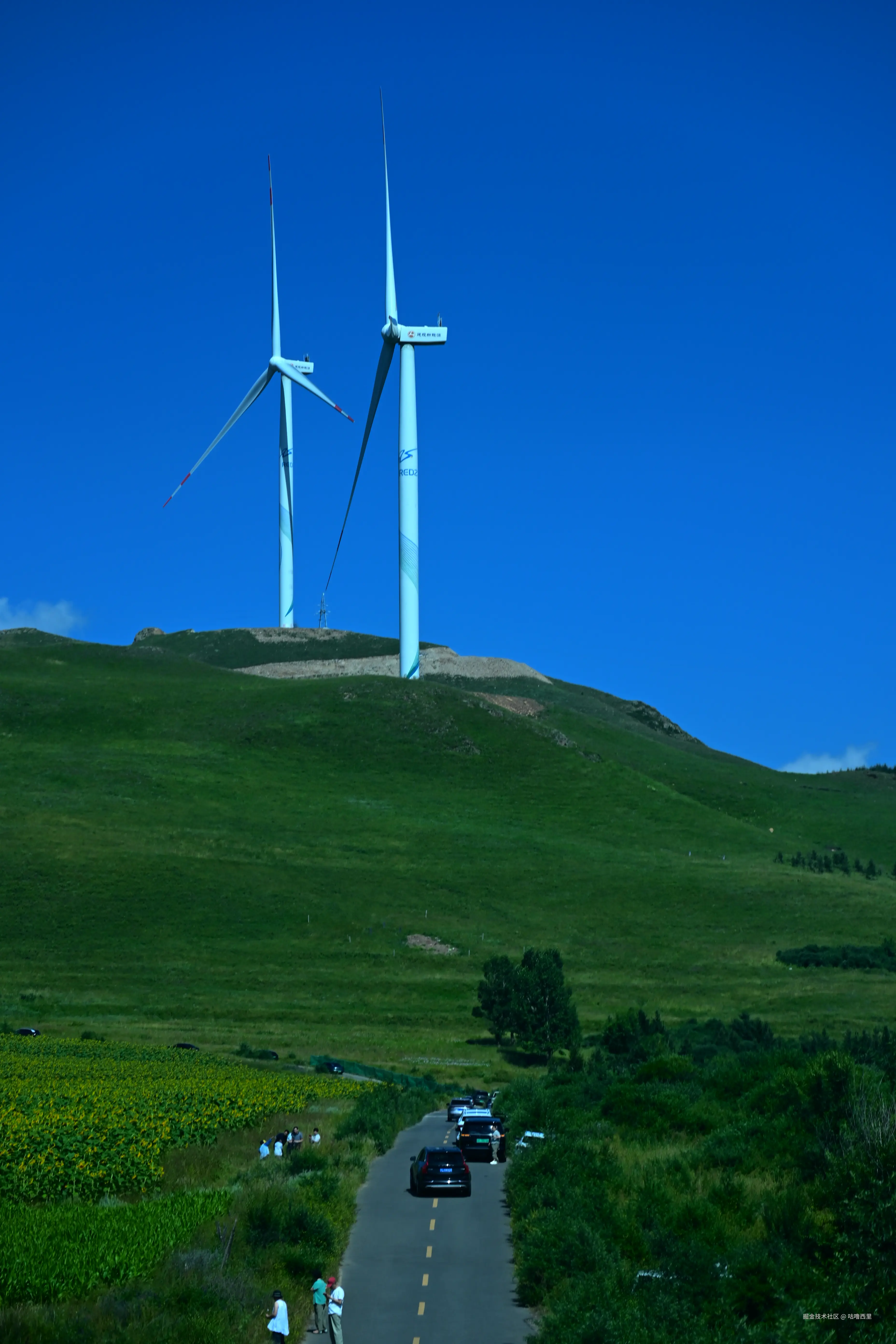 咕噜西里于2025-08-29 13:42发布的图片