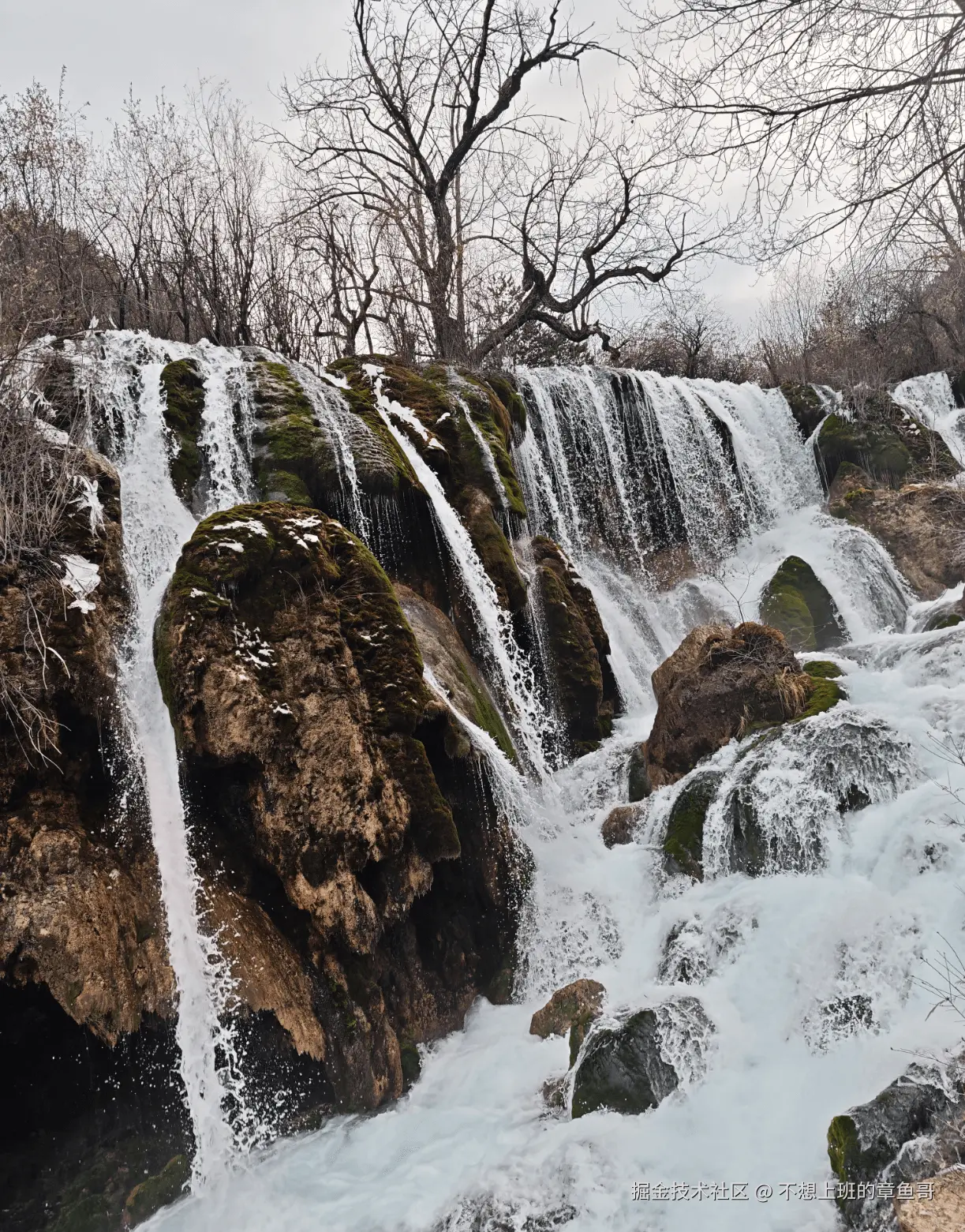 不想上班的章鱼哥于2025-12-09 17:55发布的图片