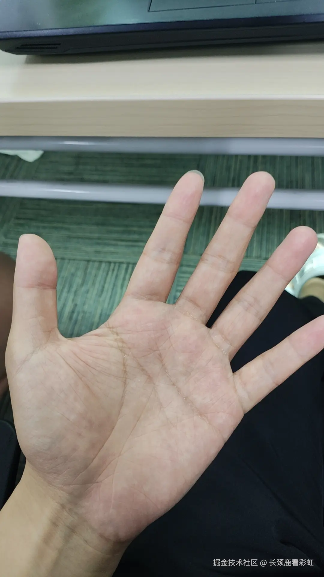 长颈鹿看彩虹于2024-07-26 07:09发布的图片