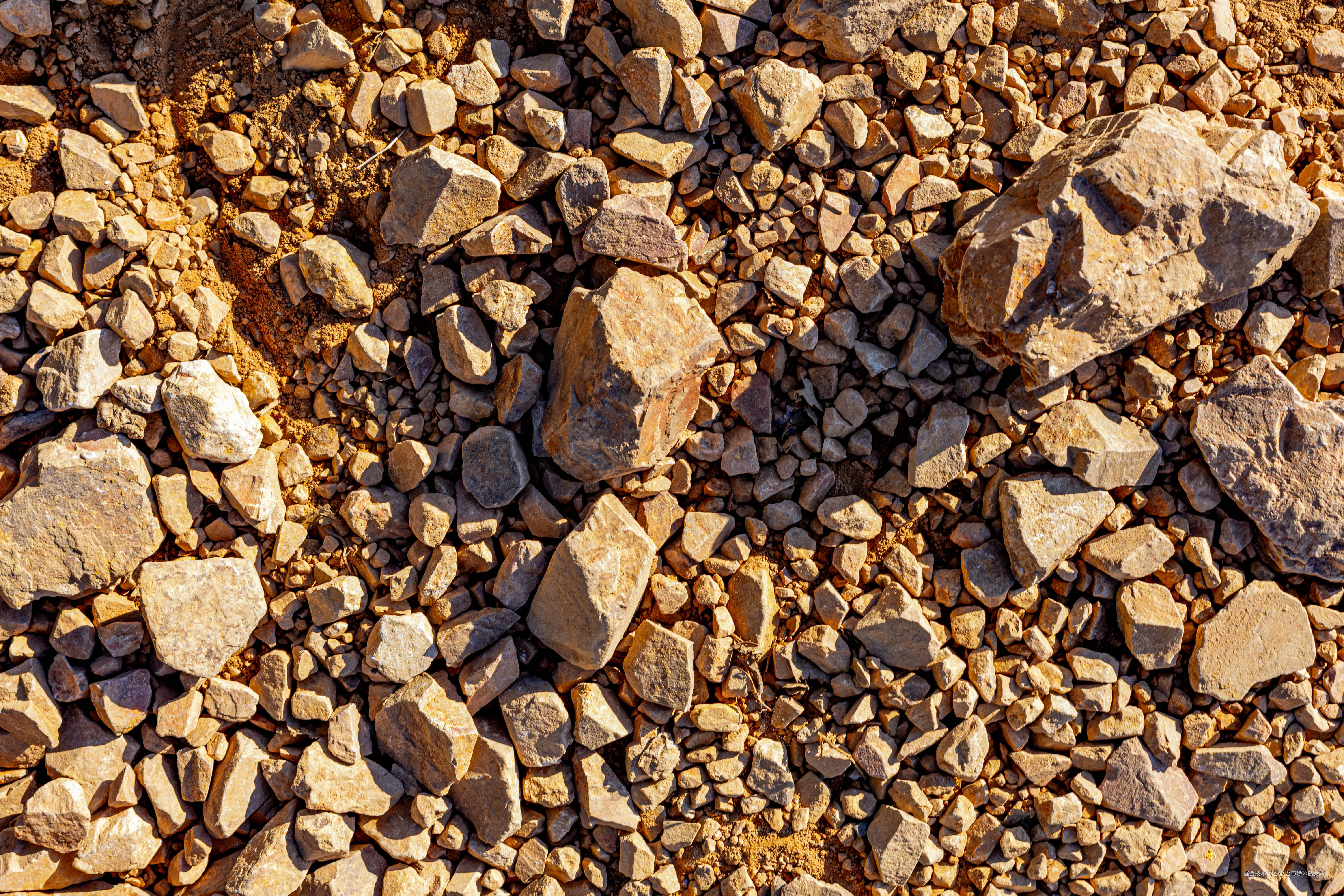 吾与徐公孰美耶于2024-10-11 17:05发布的图片