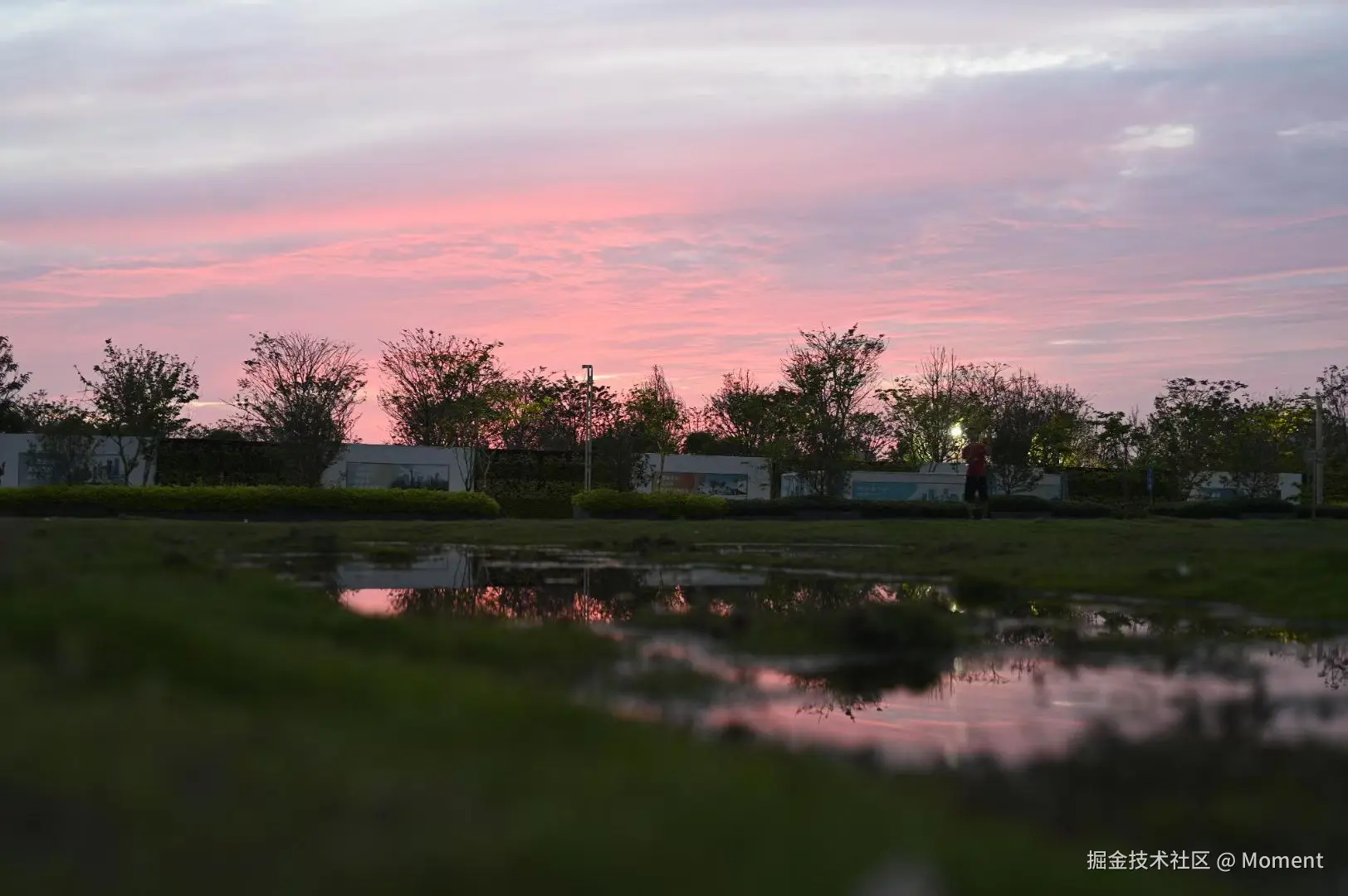 Moment于2025-05-12 11:33发布的图片