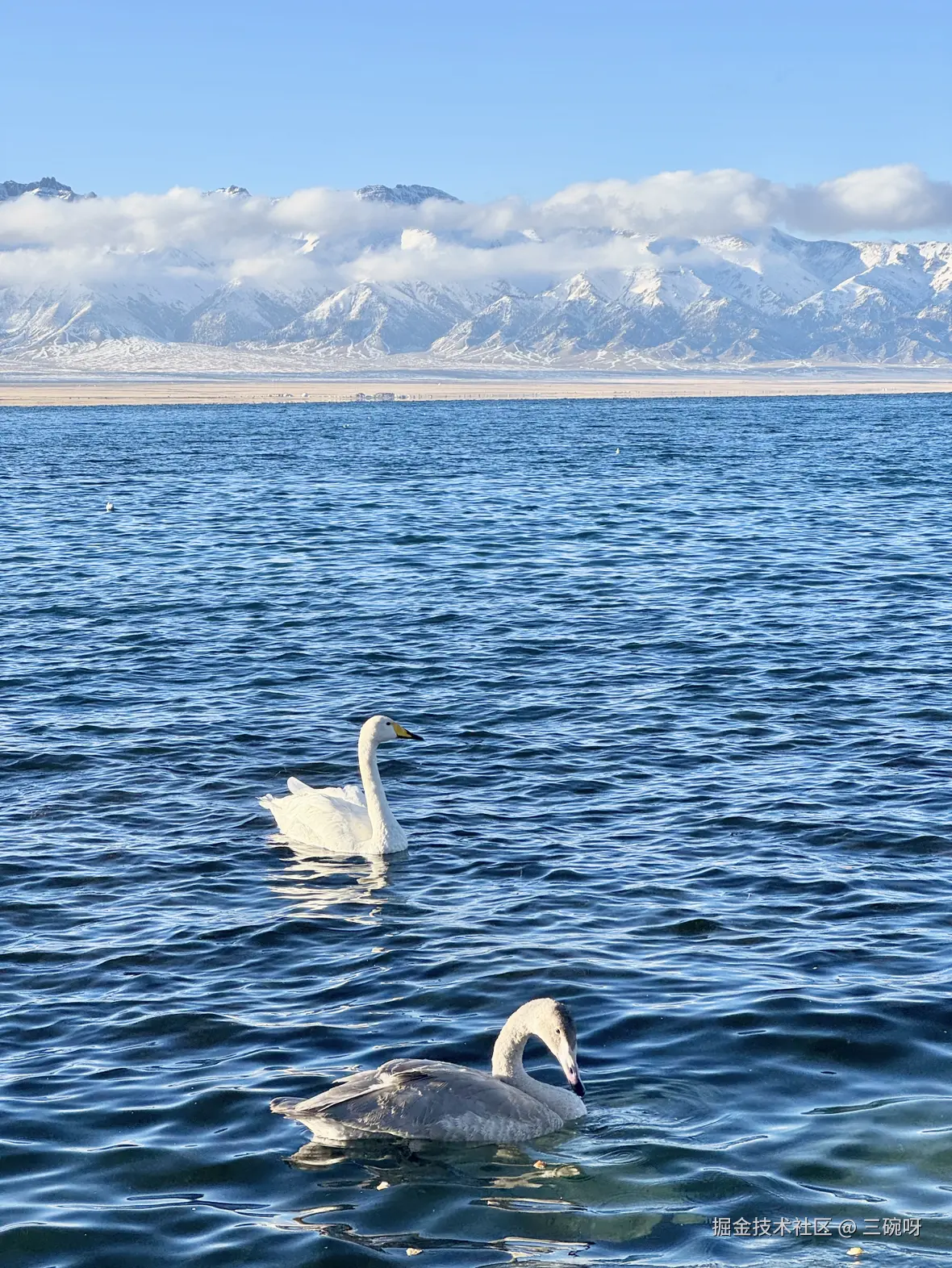 三碗呀于2025-10-23 10:38发布的图片