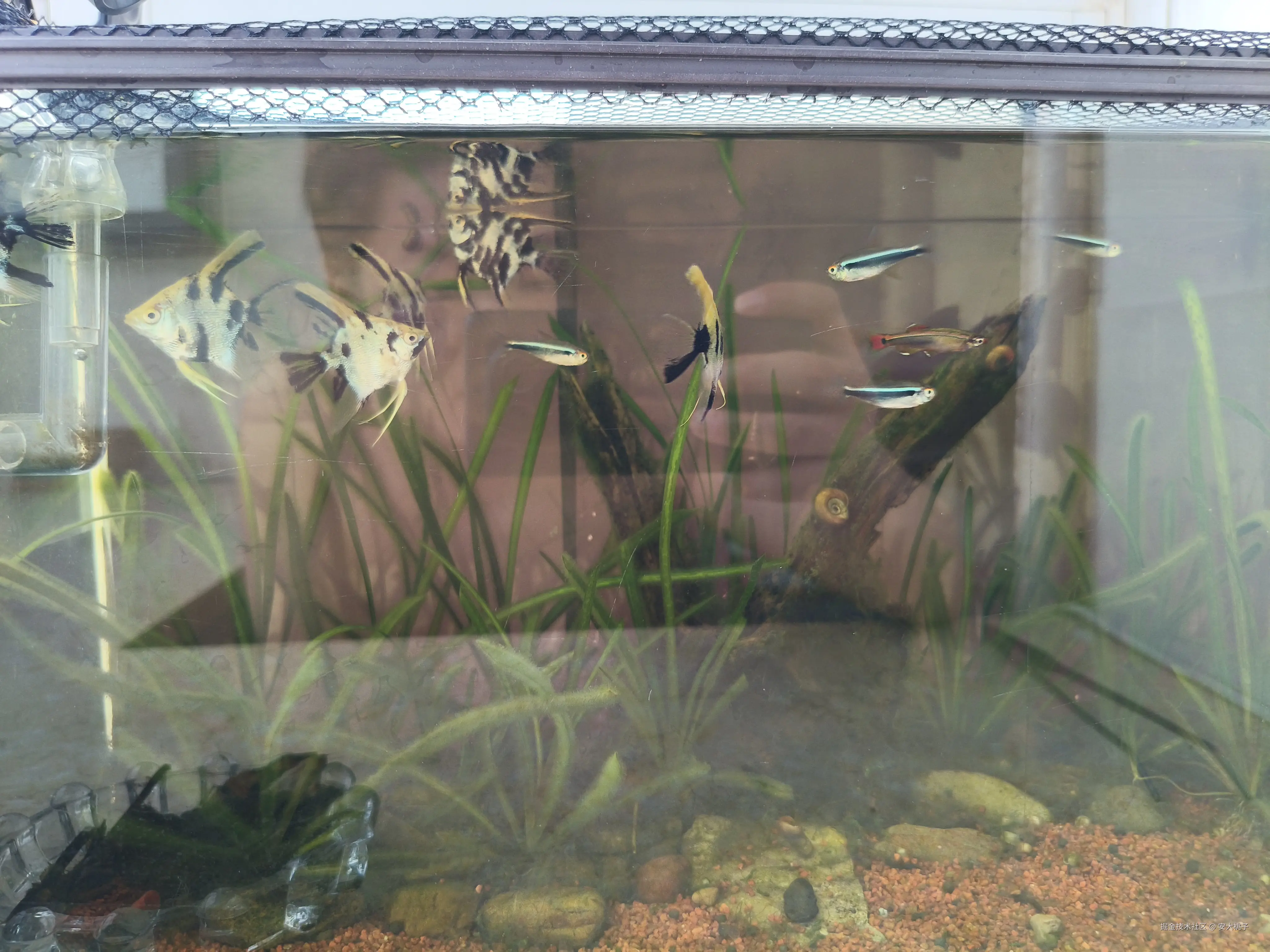 安大桃子于2025-07-08 09:16发布的图片