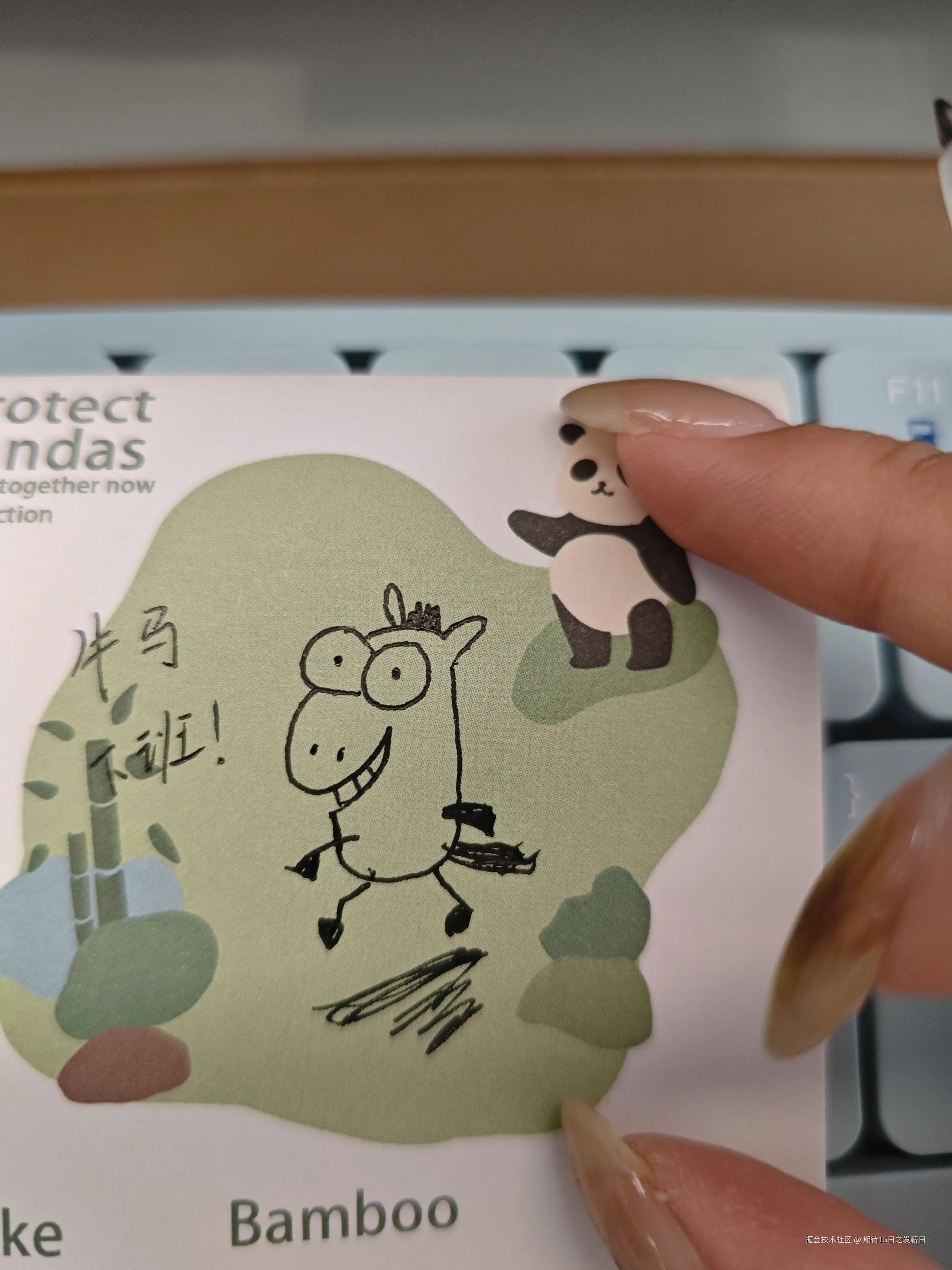 期待15日之发薪日于2025-12-09 14:37发布的图片