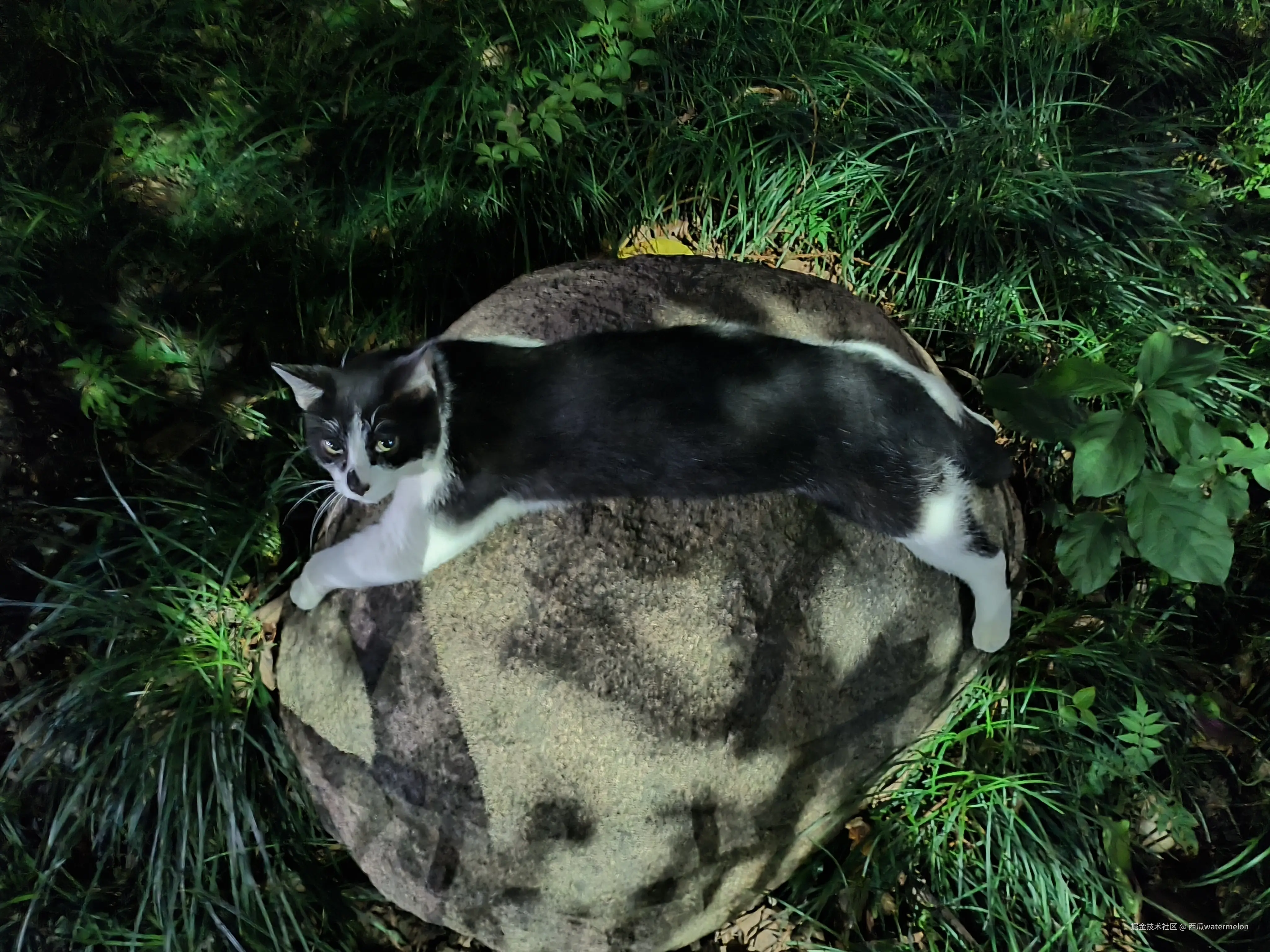 西瓜watermelon于2025-05-27 09:38发布的图片