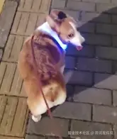 周润发叔叔于2025-09-12 09:57发布的图片