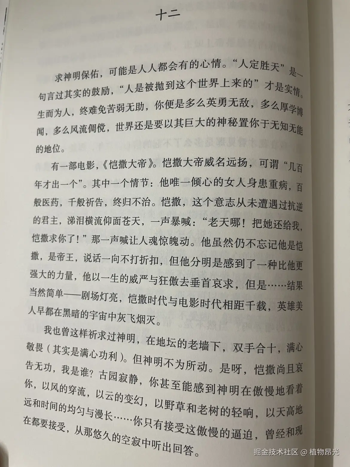 植物昂光于2026-05-04 20:08发布的图片