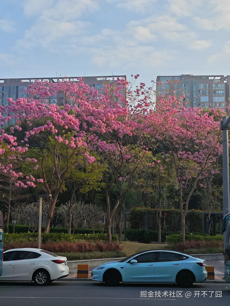 开不了囧于2026-02-06 09:56发布的图片