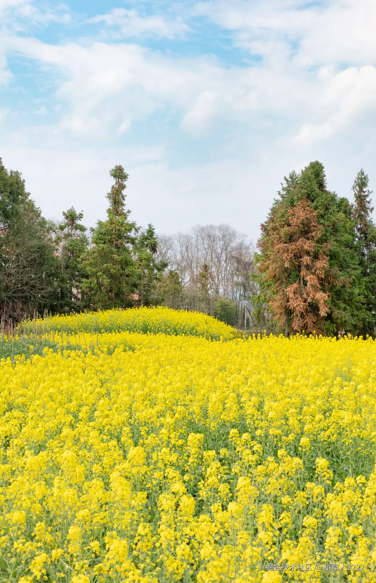 稻草人2222于2026-03-02 15:44发布的图片