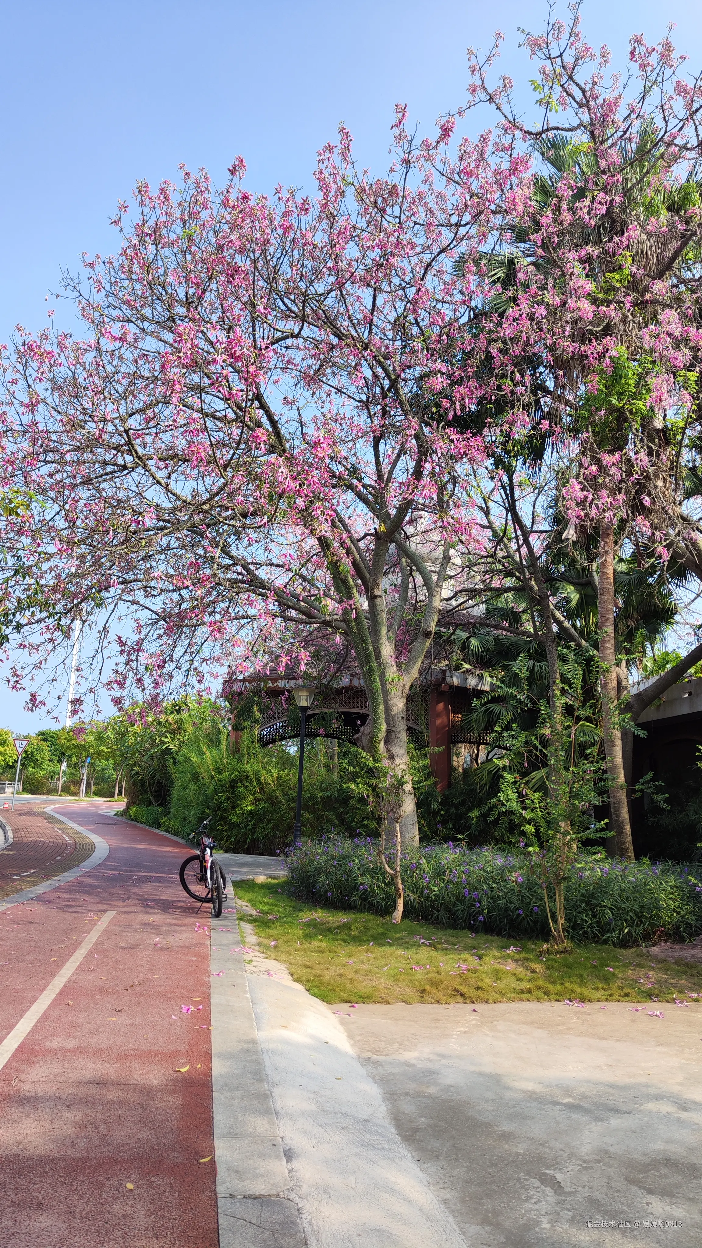 媛媛啊9813于2024-10-21 07:22发布的图片