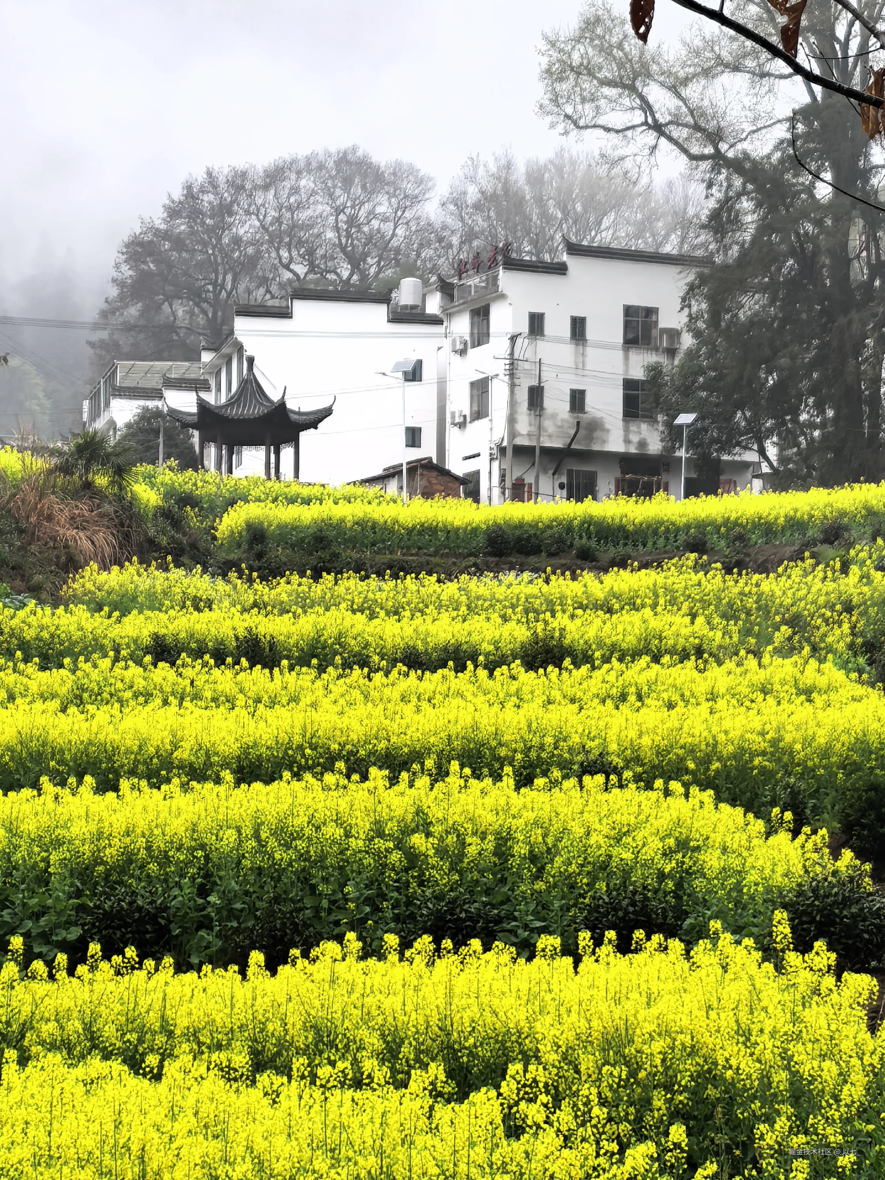 以七_于2026-03-24 11:30发布的图片