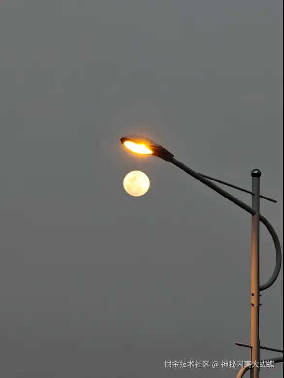 神秘闪亮大蝴蝶于2026-03-03 14:36发布的图片