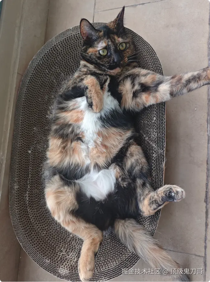 顶级鬼刀哥于2025-09-11 10:22发布的图片