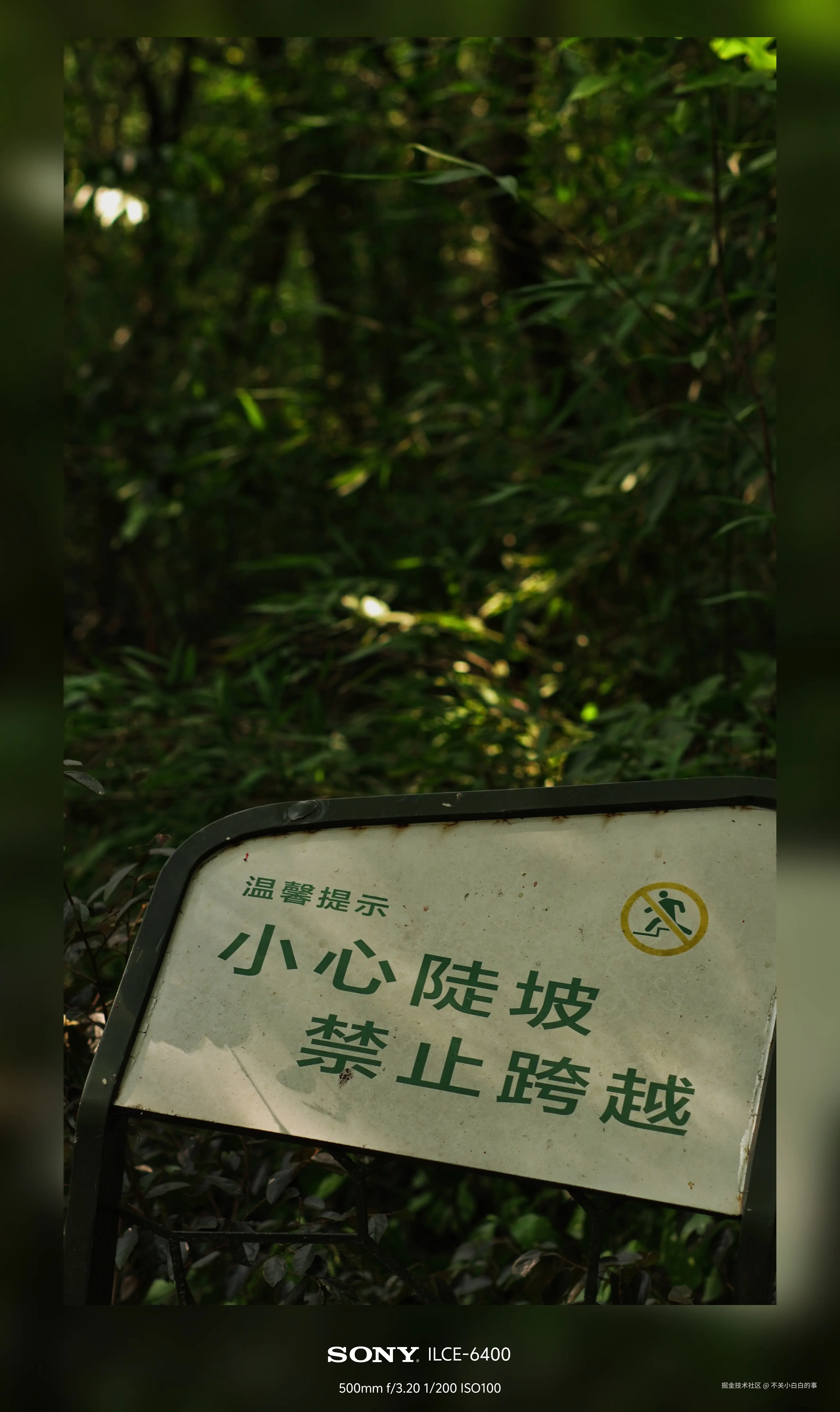 不关小白白的事于2024-08-06 16:58发布的图片