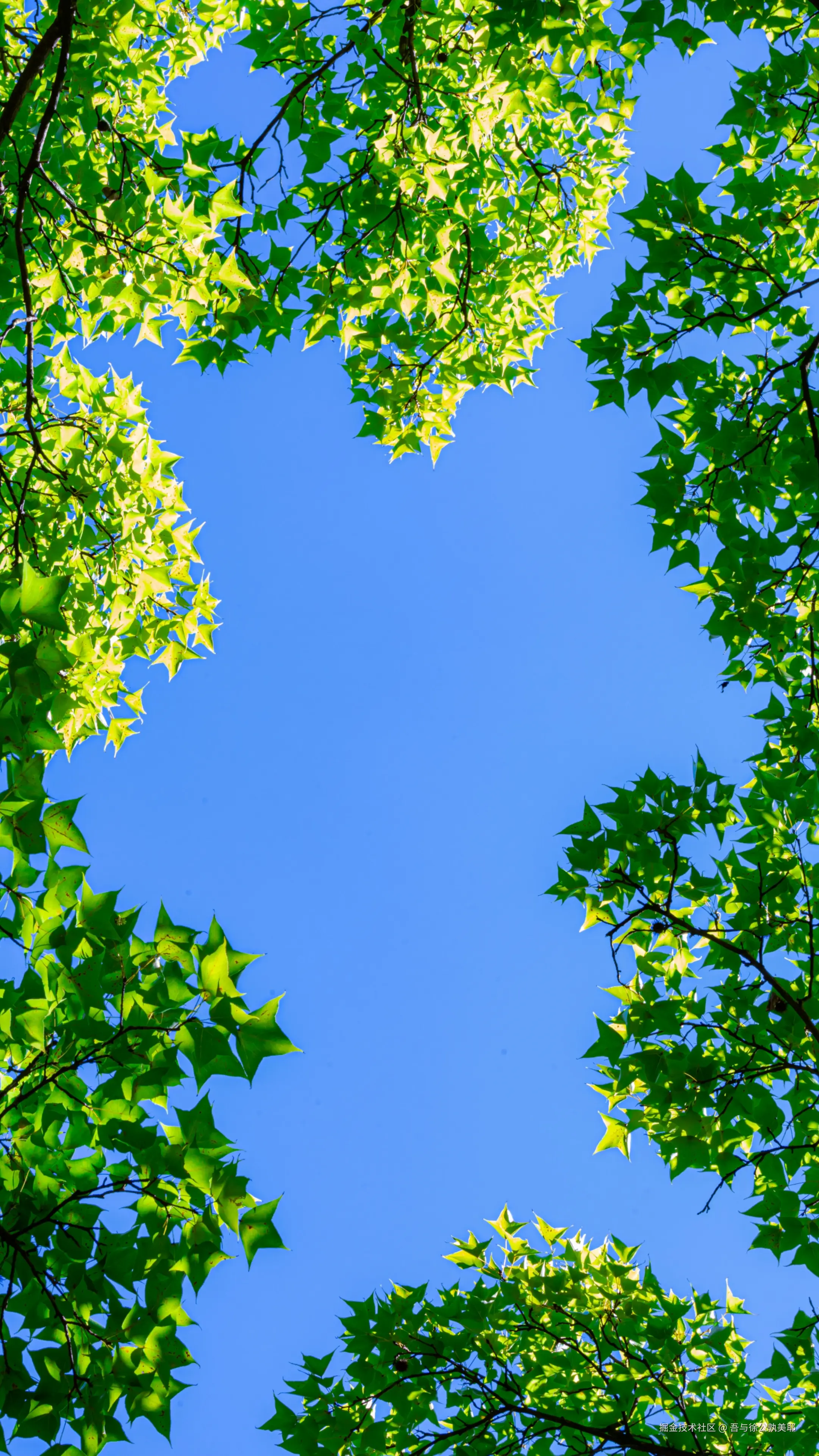 吾与徐公孰美耶于2024-08-09 10:00发布的图片