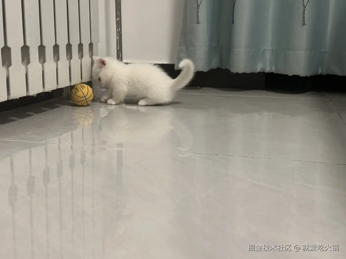 就爱吃火锅于2025-02-19 09:30发布的图片