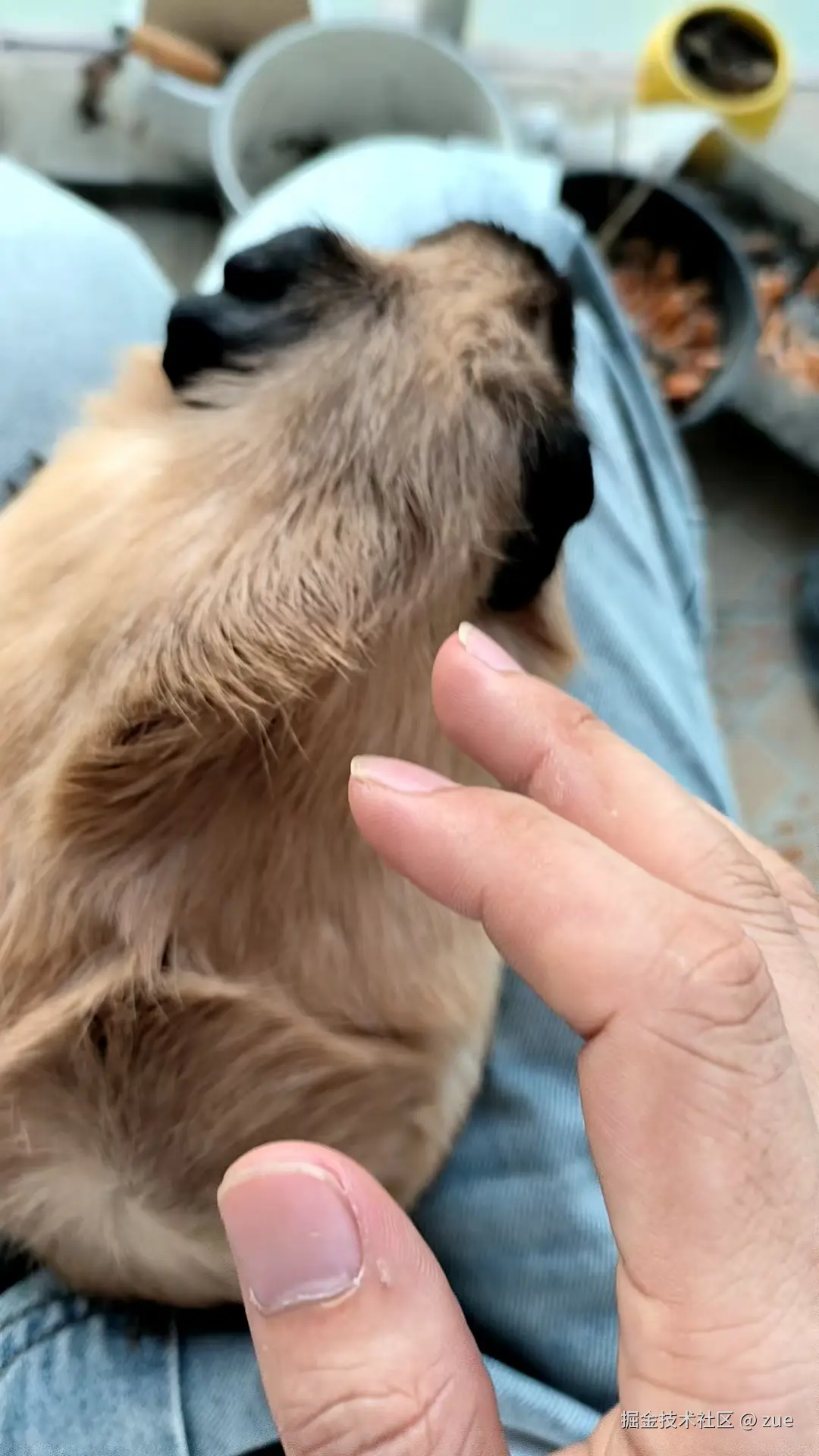 zue于2025-09-05 03:07发布的图片