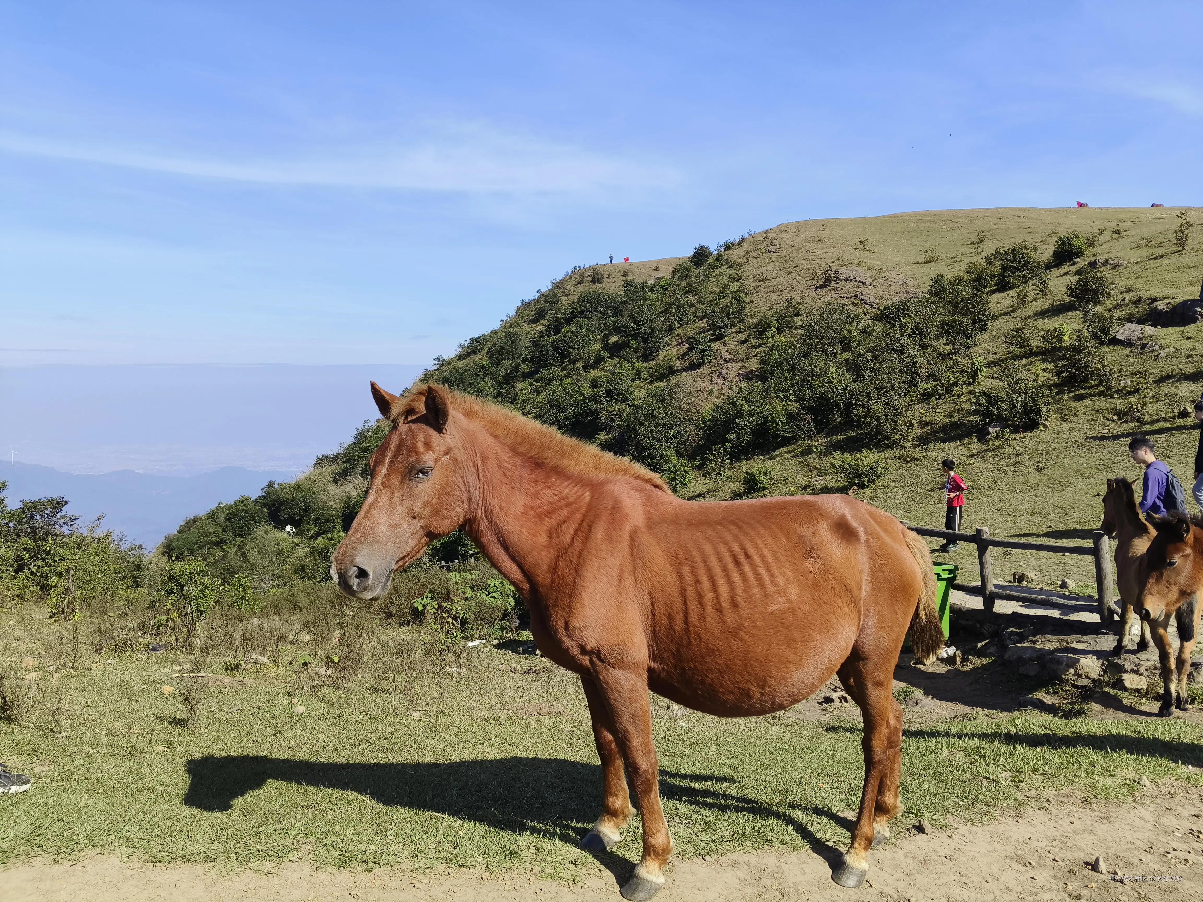 依依妖妖于2024-10-26 12:55发布的图片