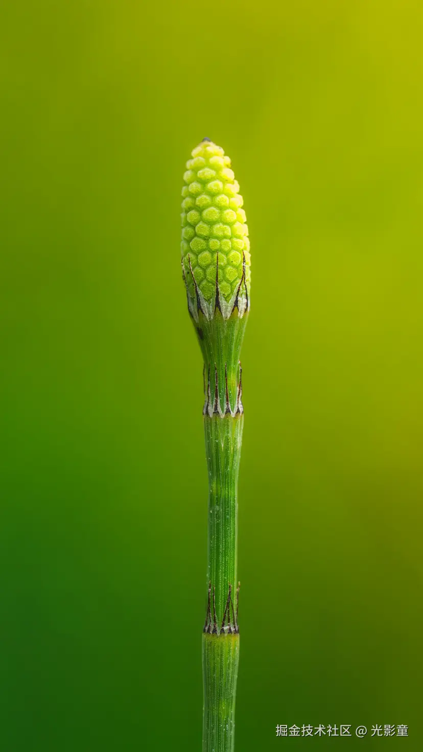 光影童于2025-08-06 09:16发布的图片