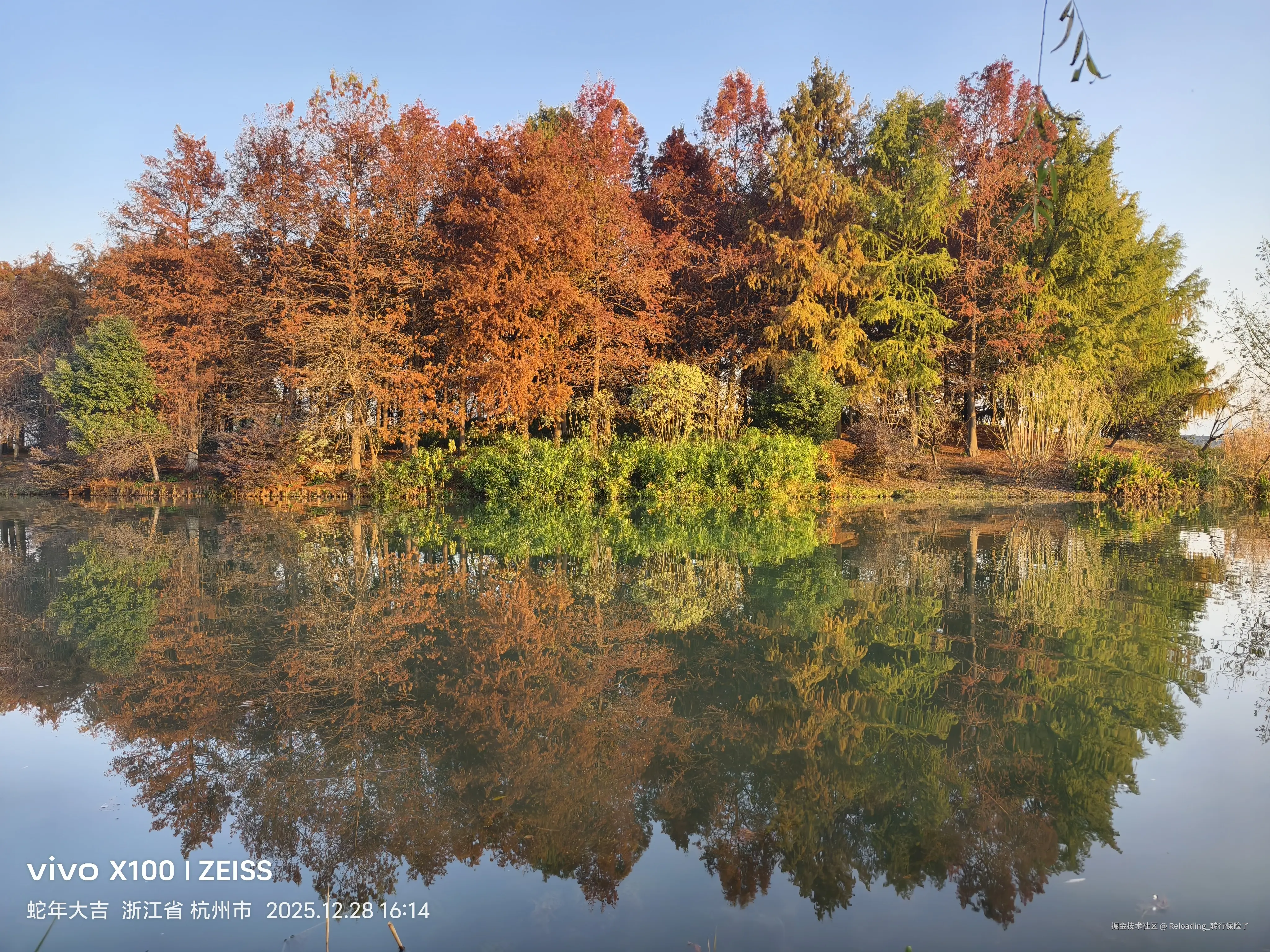 Reloading_转行保险了于2025-12-29 09:01发布的图片