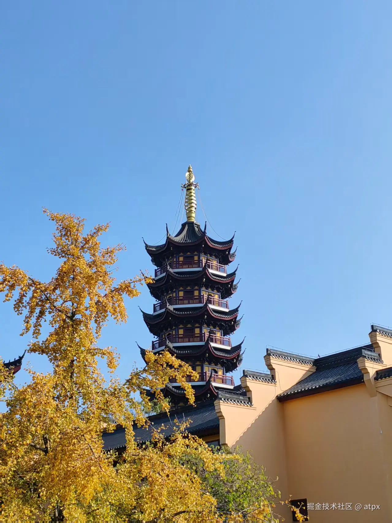 atpx于2025-11-17 10:03发布的图片